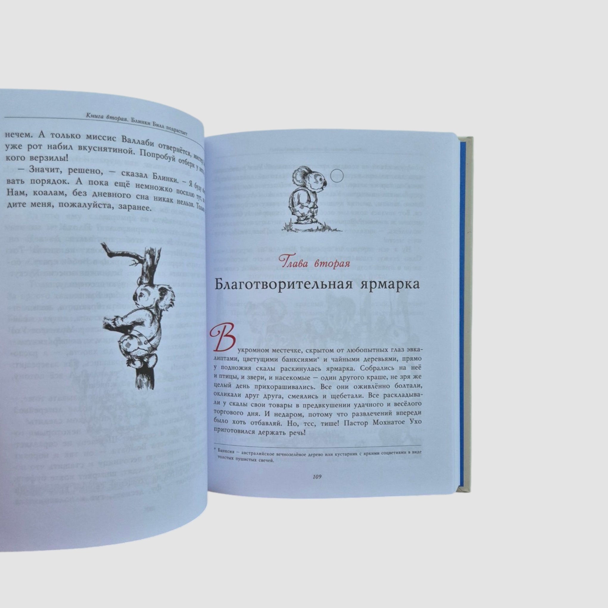 Blinky Bill: The Adventures of the Naughty Koala