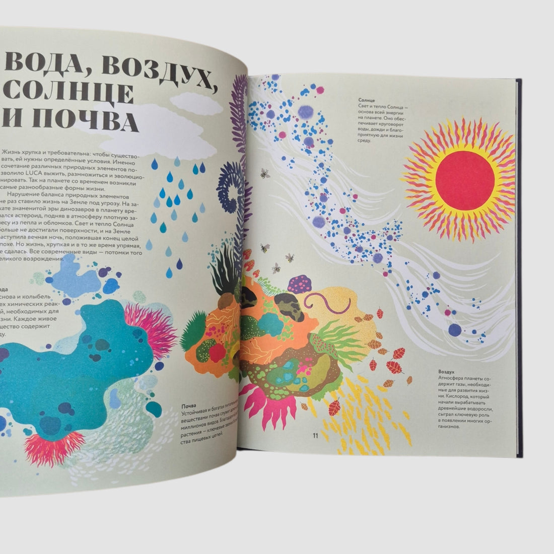 Чудесная книга жизни