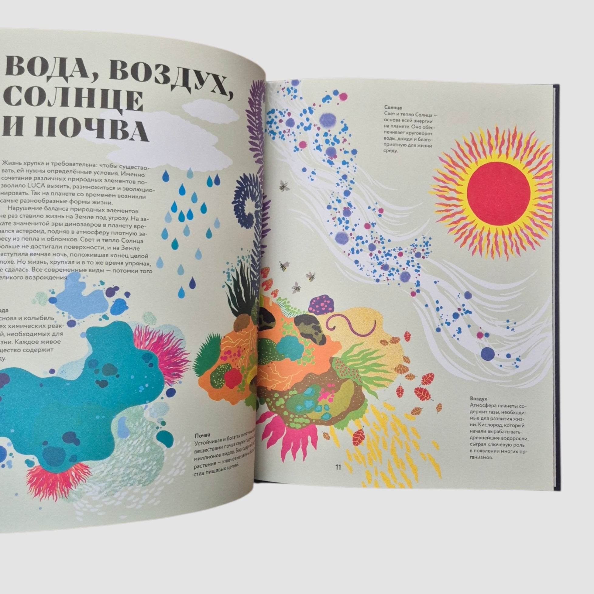 Чудесная книга жизни