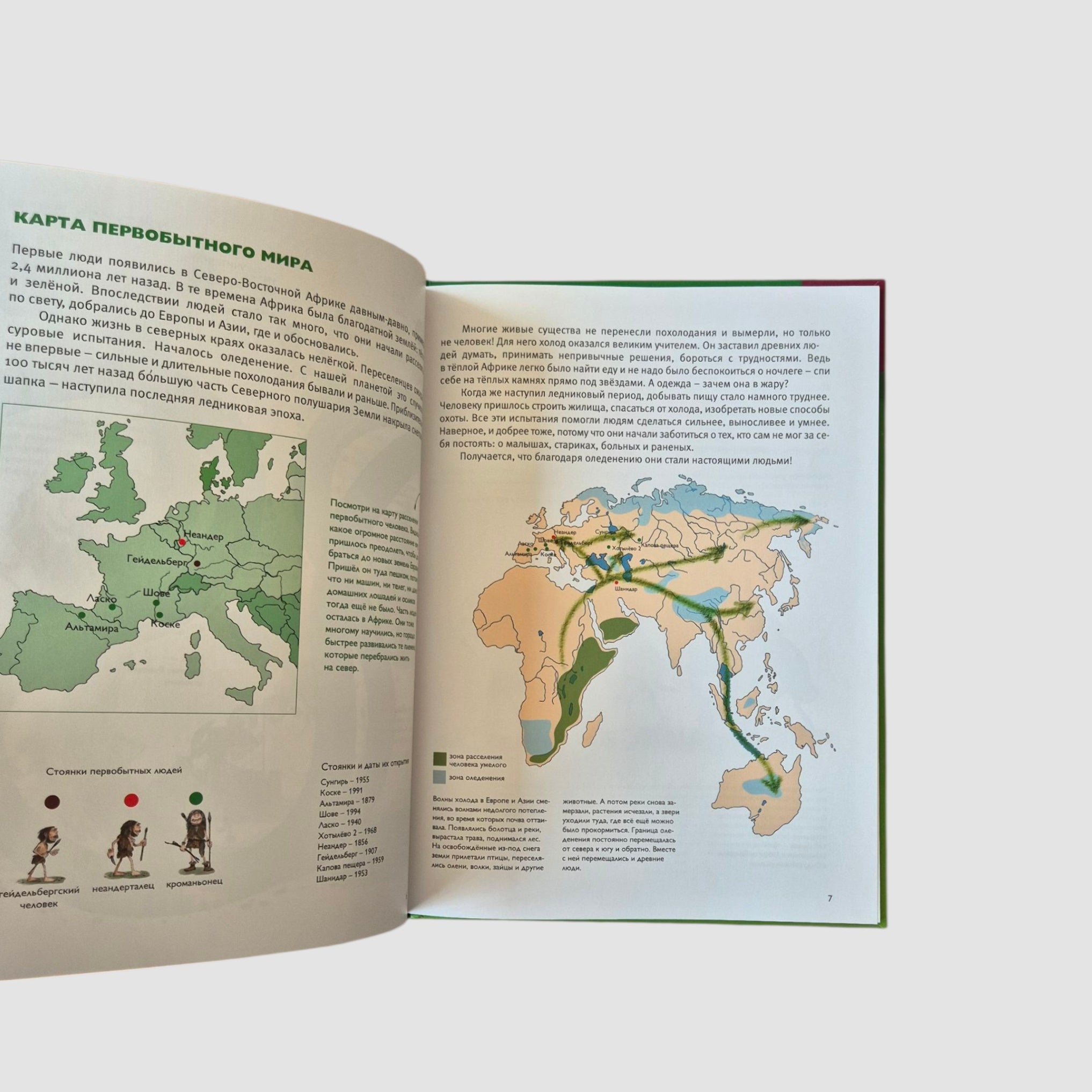 Мы живём в каменном веке