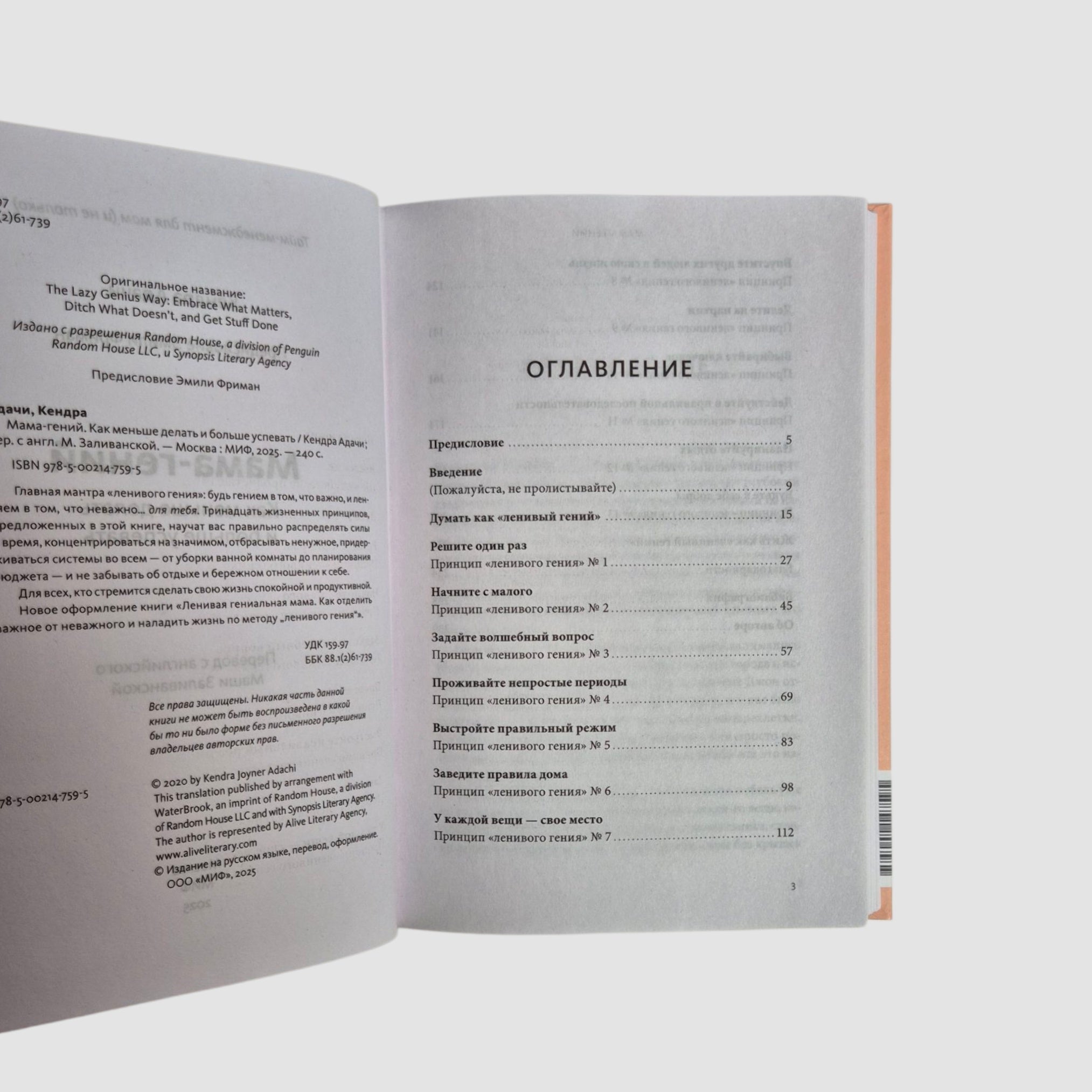 Mom Genius: How to Do Less and Get More Done