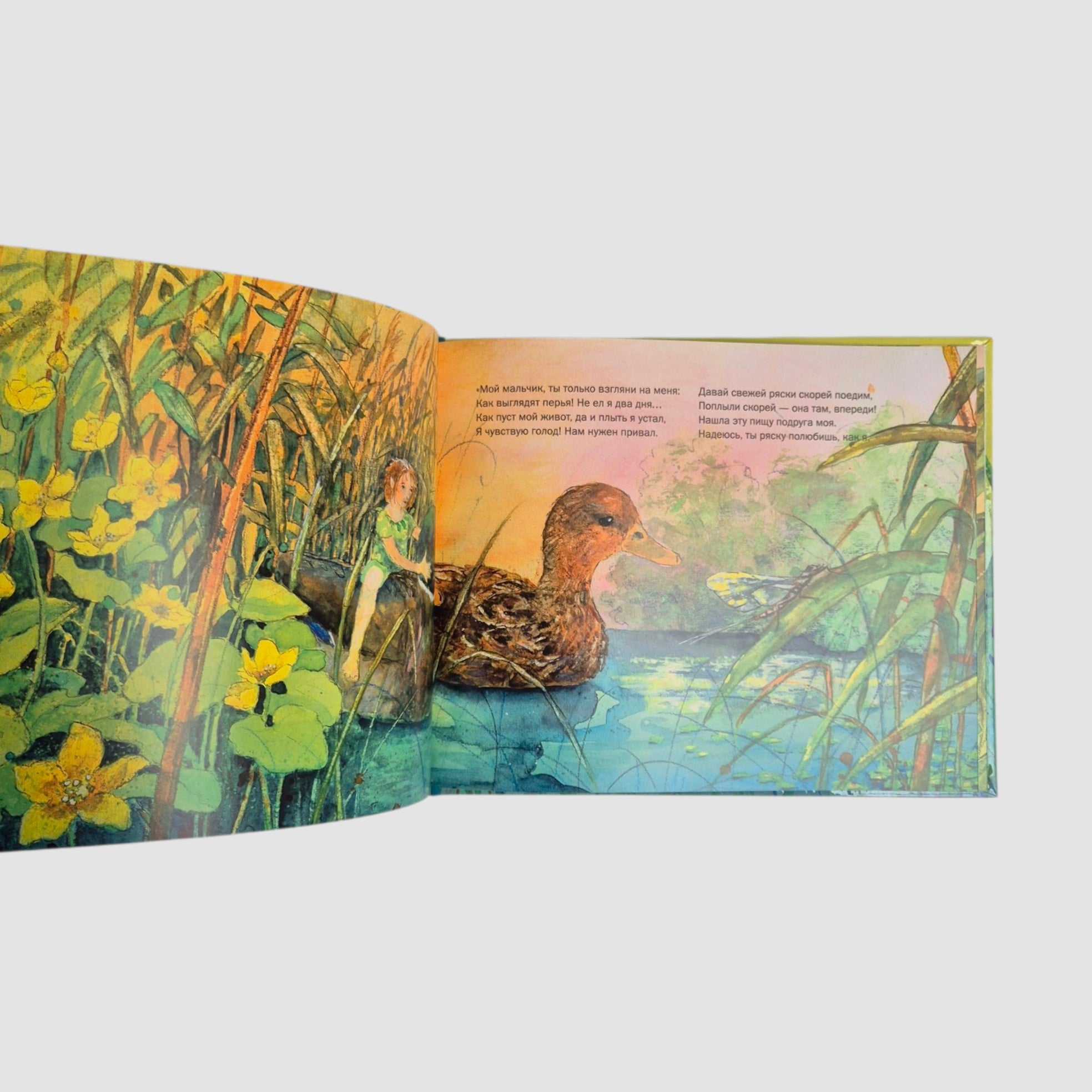 Let's dive into the world of mermaids