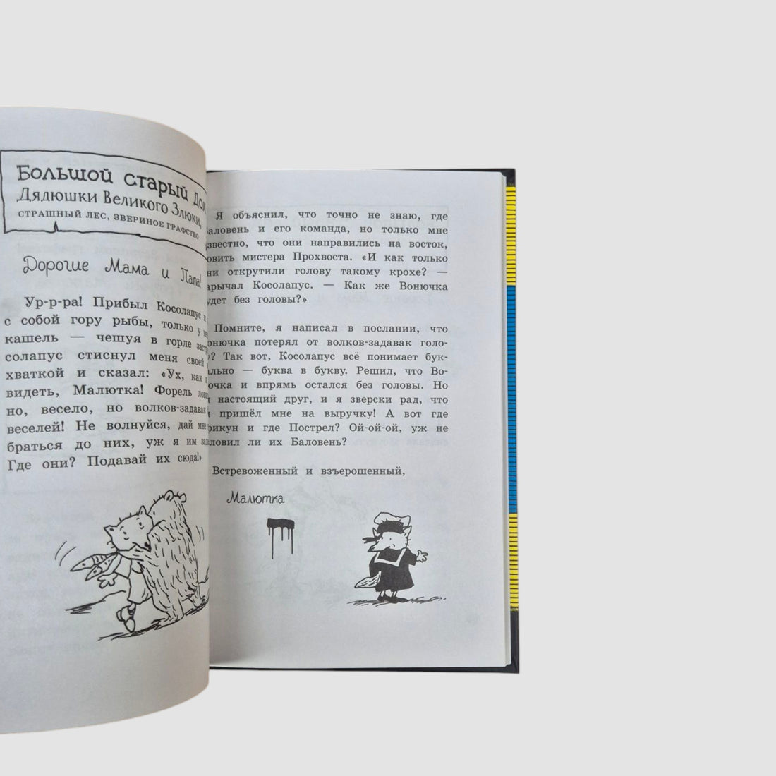 Little Wolf and his team