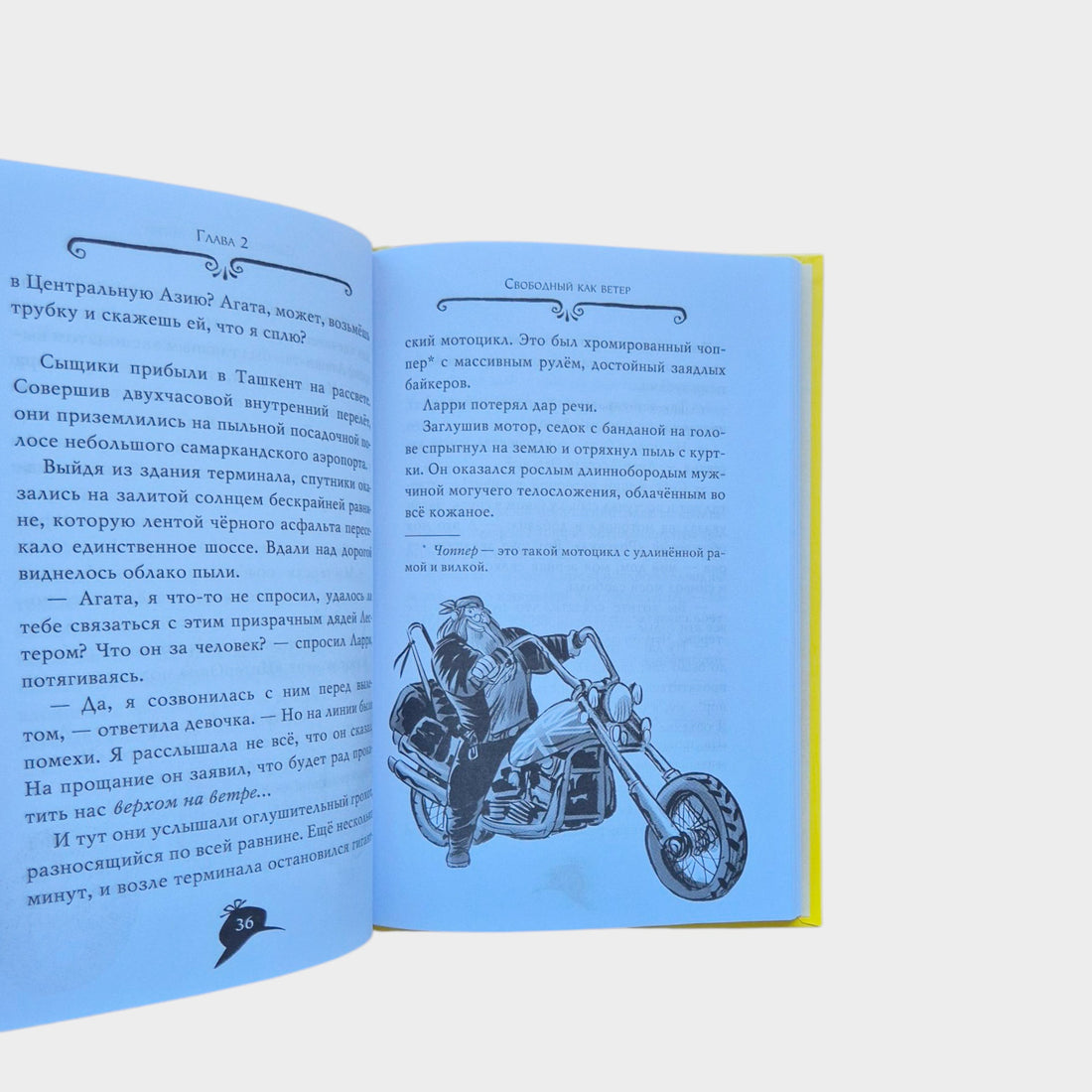 Агата Мистери. Разыскивается ковёр-самолёт (16)