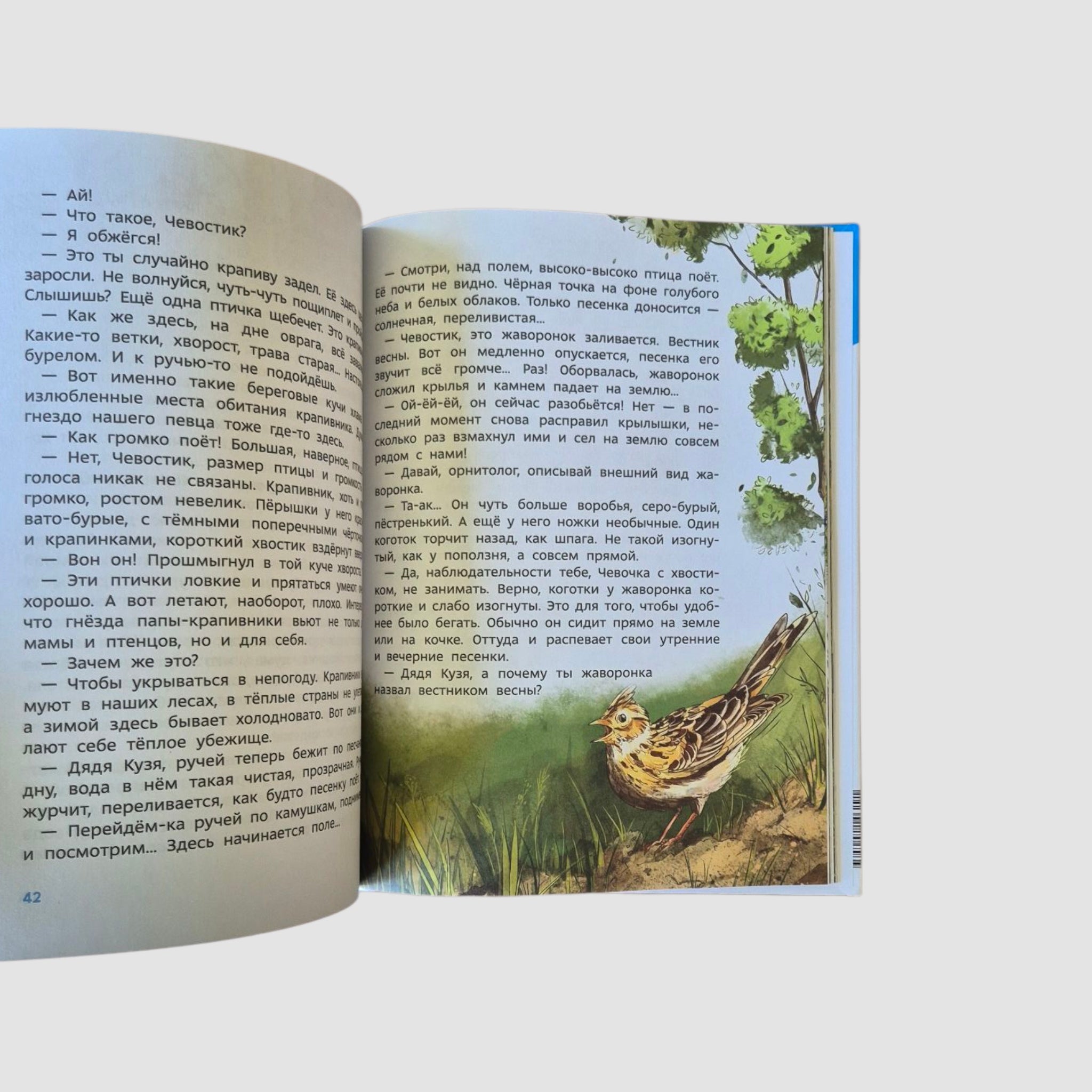 Птицы. Детская энциклопедия (Чевостик)