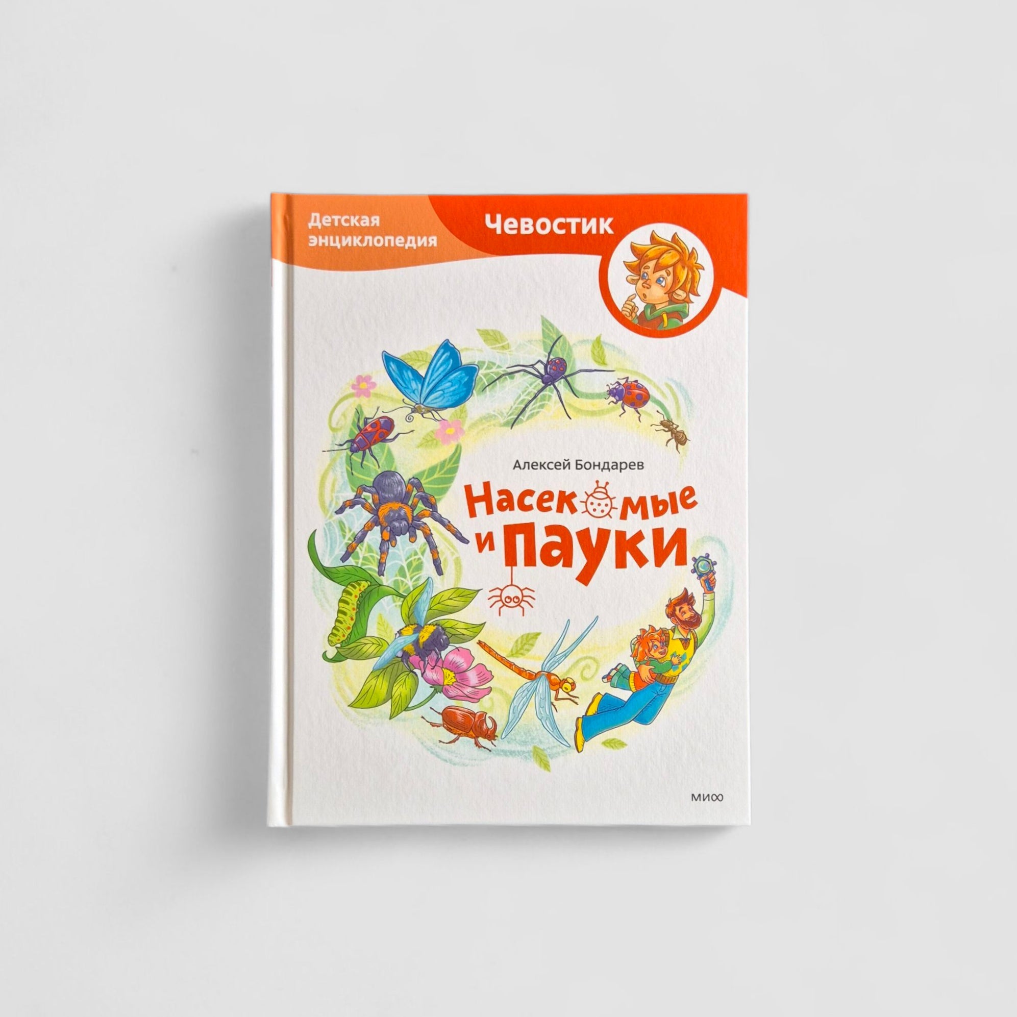 Насекомые и пауки. Детская энциклопедия (Чевостик)
