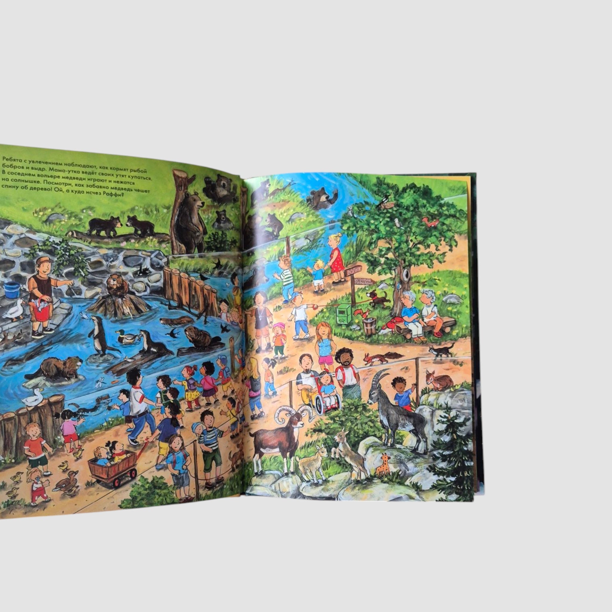 Fun Hide and Seek. Good Night! Wildlife Park 