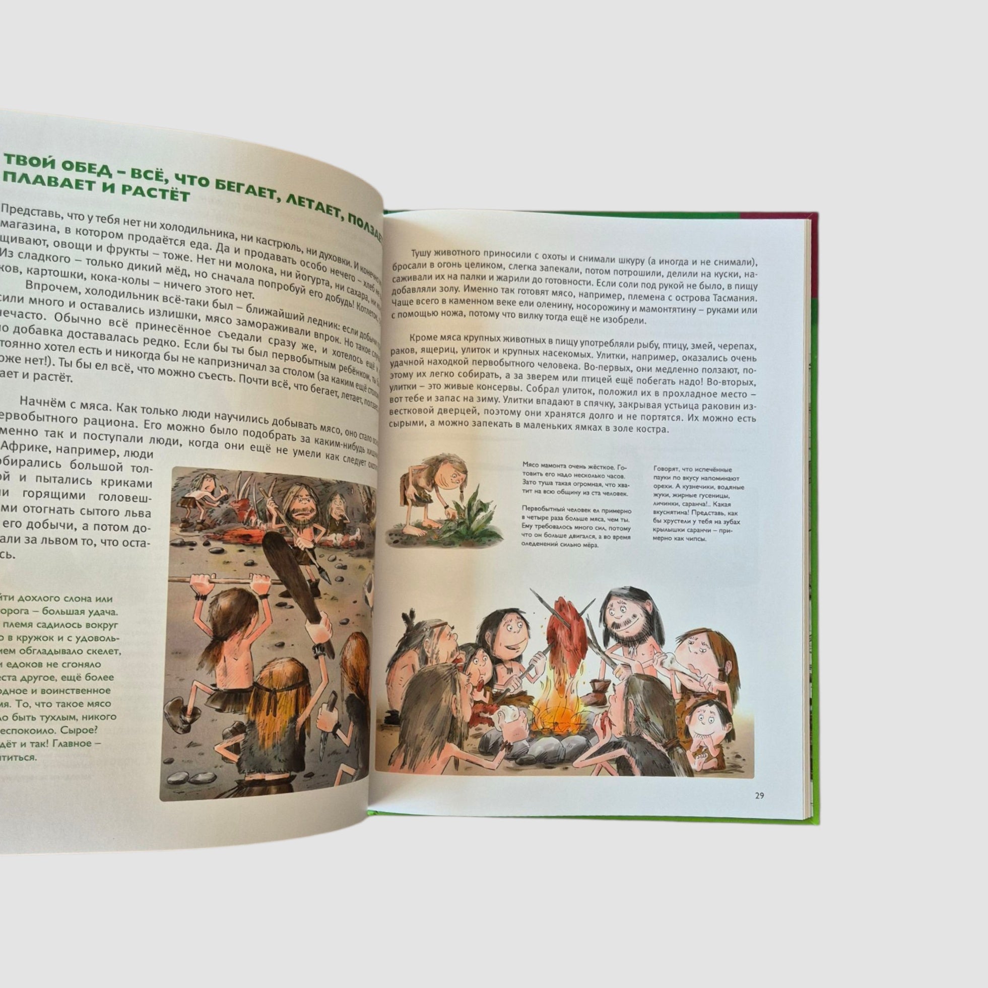 Мы живём в каменном веке