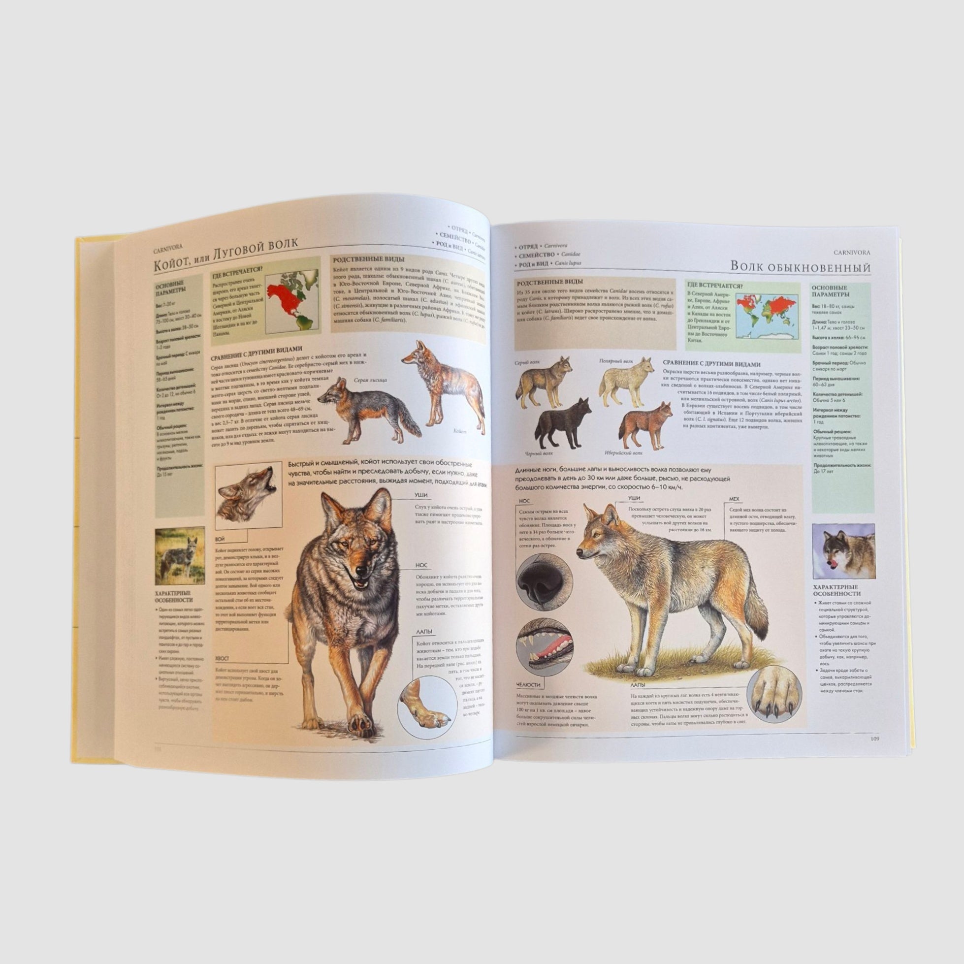 Animals of the World. My Big Encyclopedia