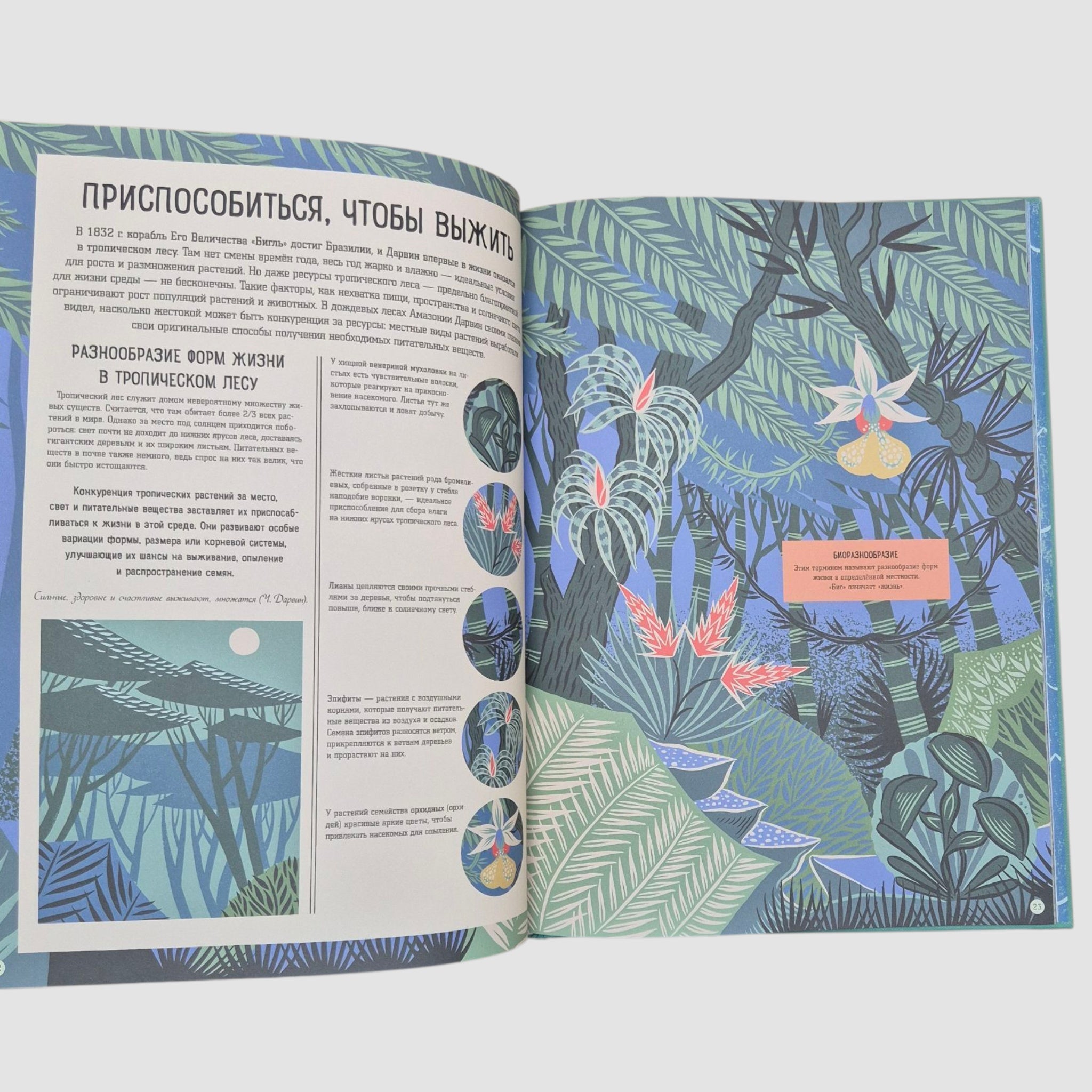 Чарльз Дарвин и его "Происхождение видов"