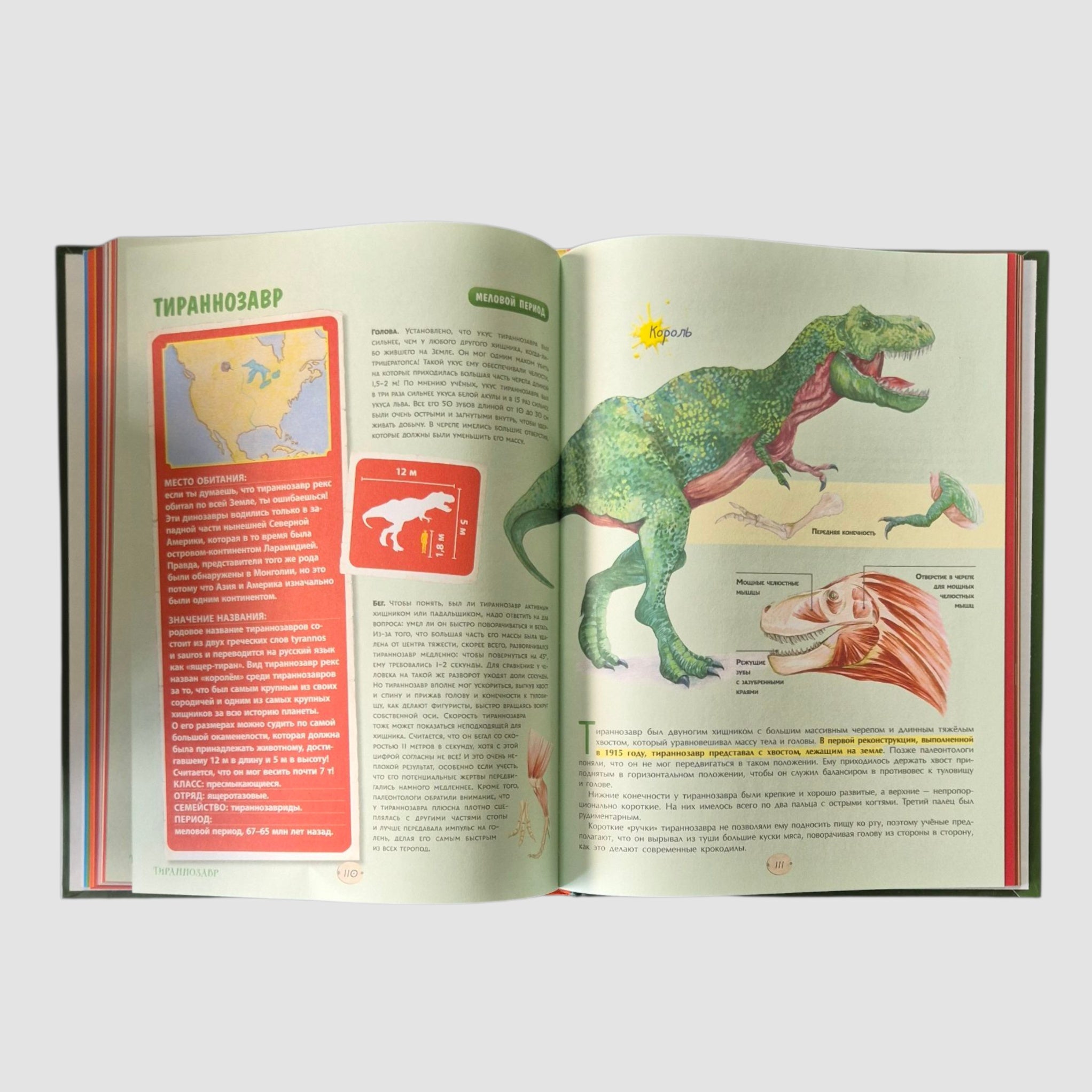 Большая энциклопедия о больших динозаврах