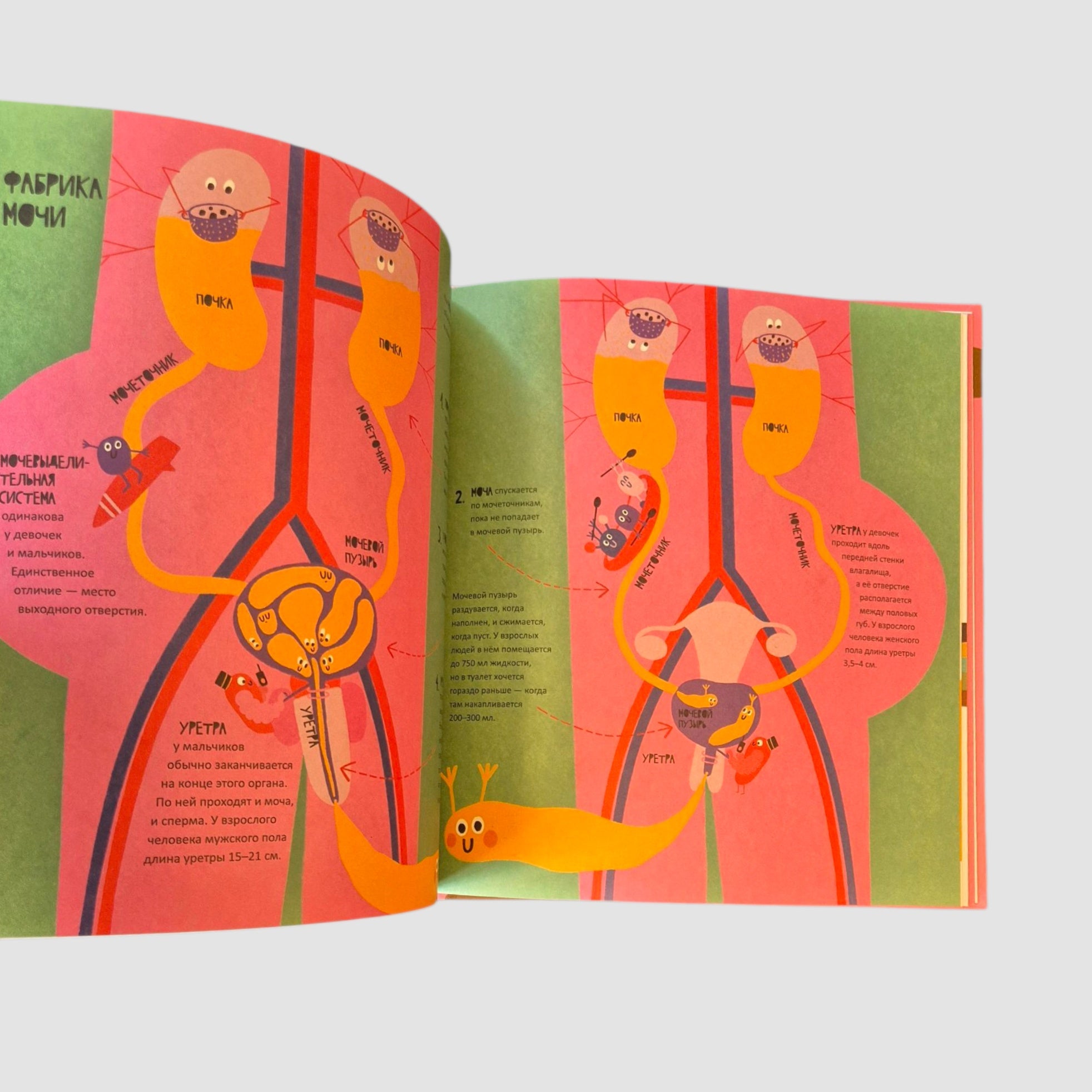 Тайная жизнь мочи и какашек