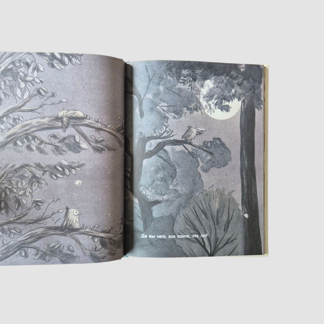 Удивленная сова