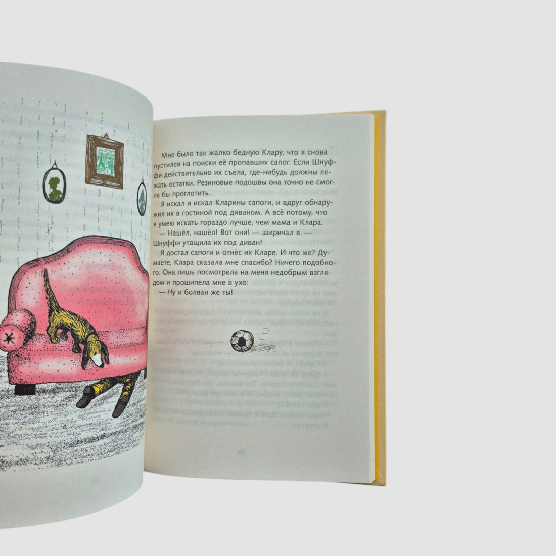 Я и моя сестра Клара