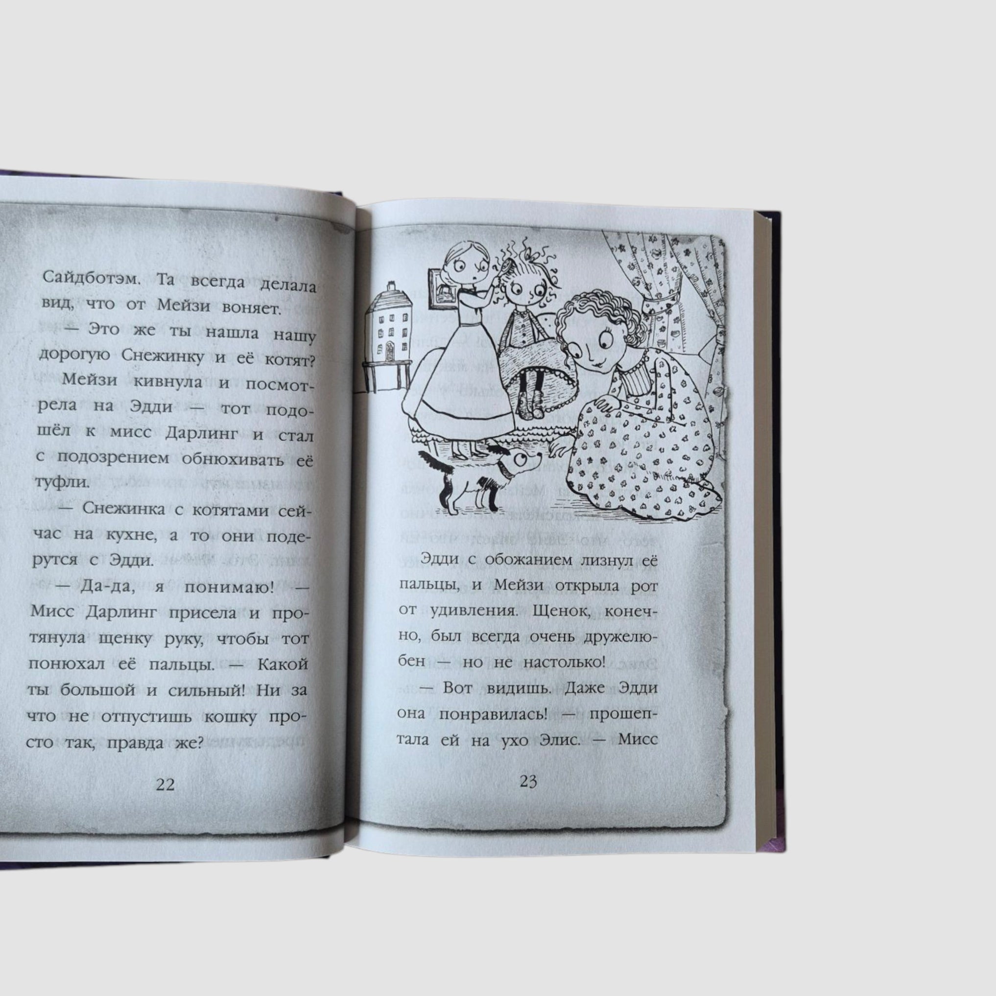 Мейзи Хитчинс. Приключения девочки-детектива. Щенок под прикрытием