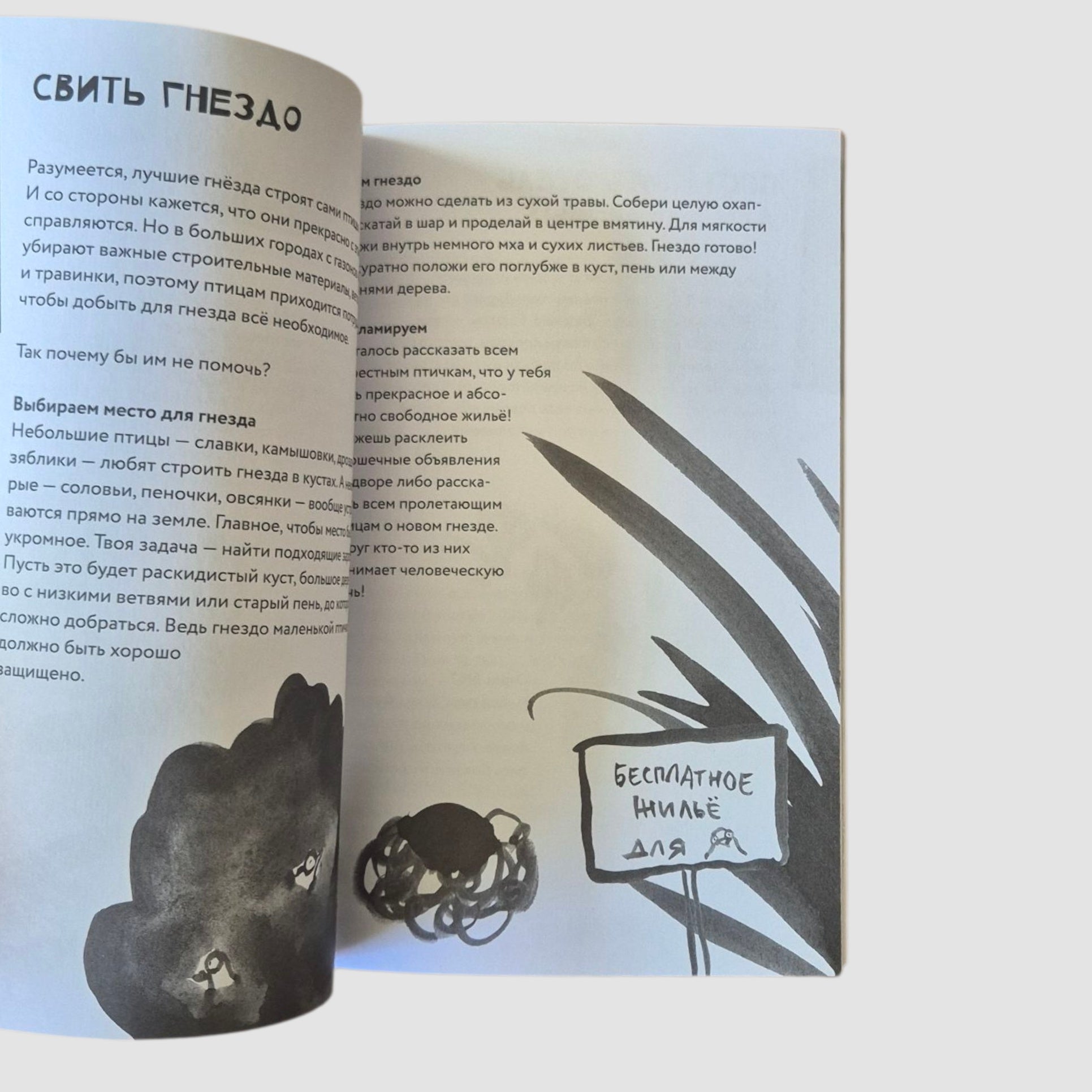 50 познавательных игр на природе