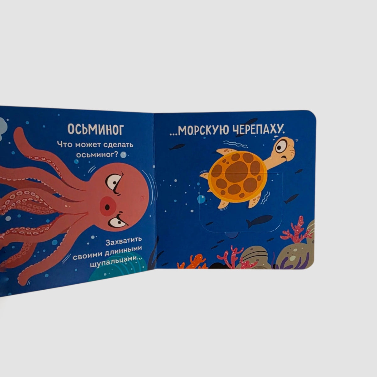Морские жители