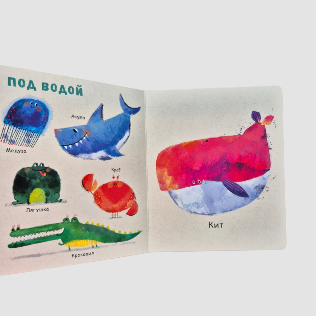 Мои первые животные