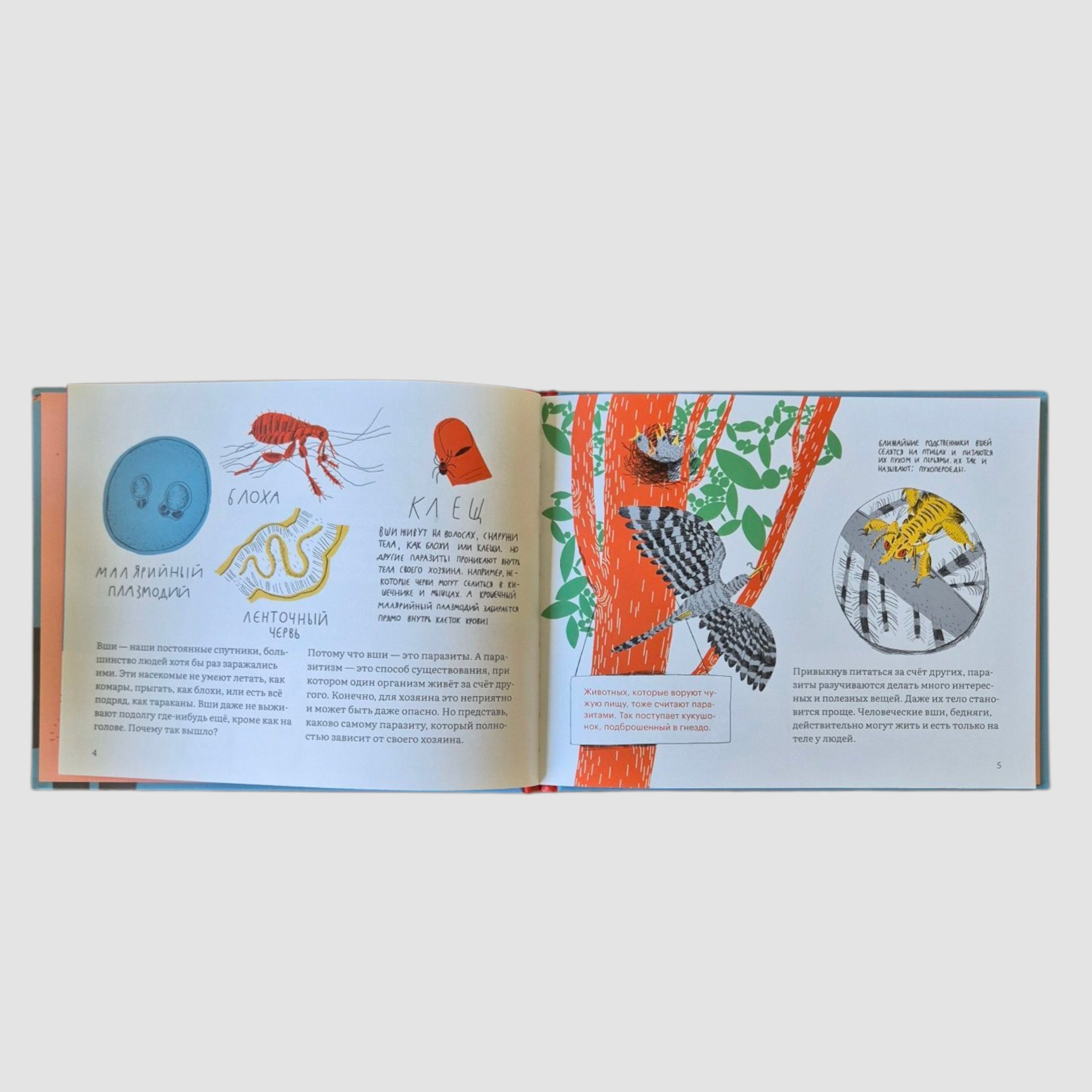 Почему голова чешется?