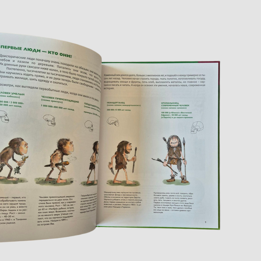 Мы живём в каменном веке