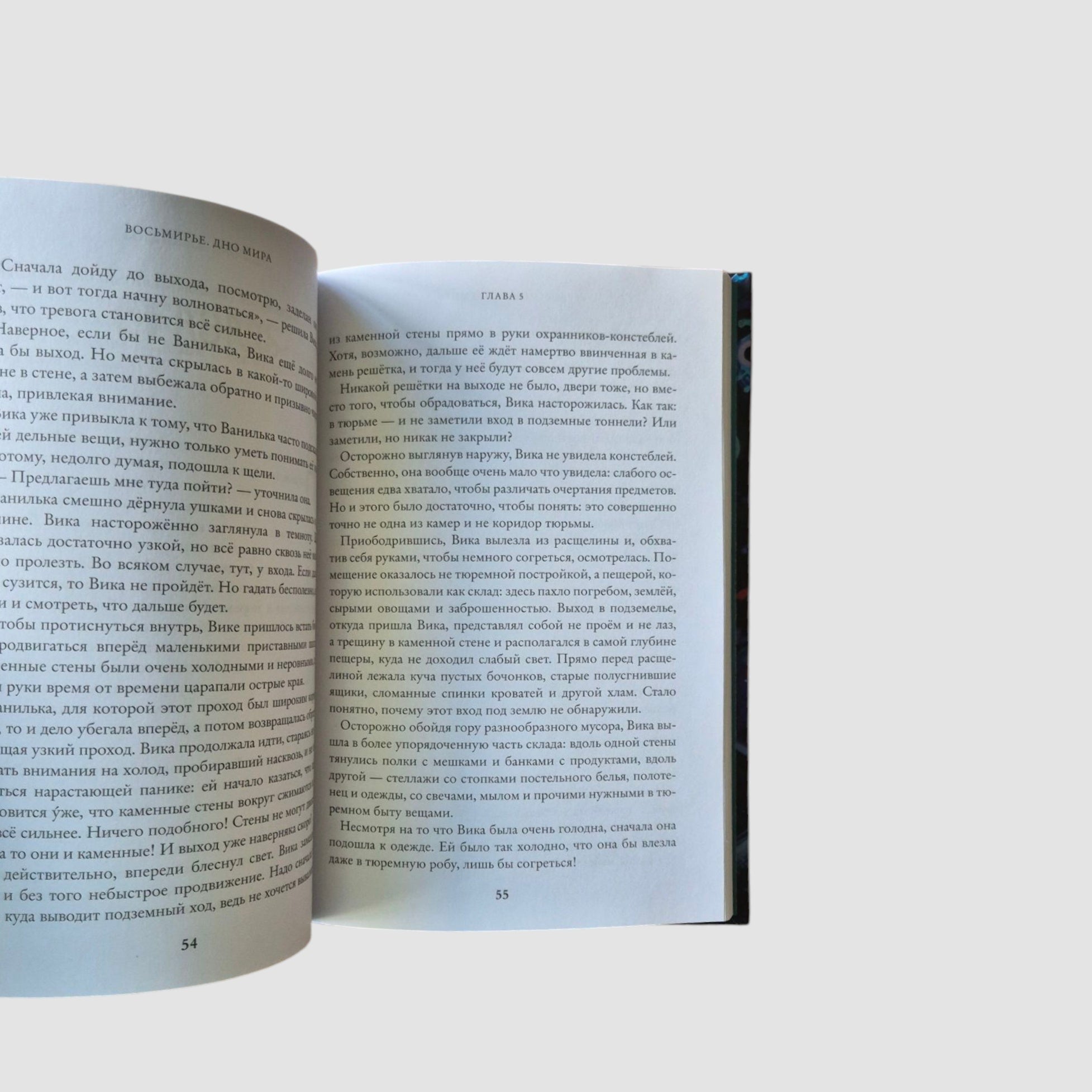 Дно мира. Восьмирье. Книга четвёртая