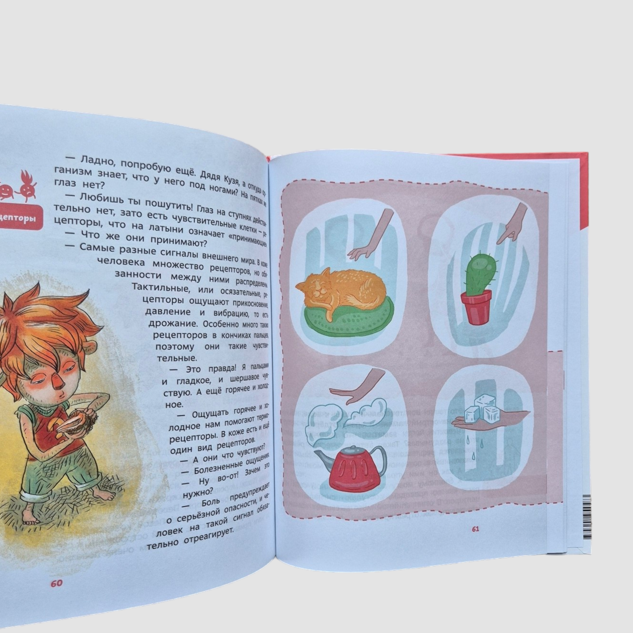 How a person is made. Children's encyclopedia (Chevostik)