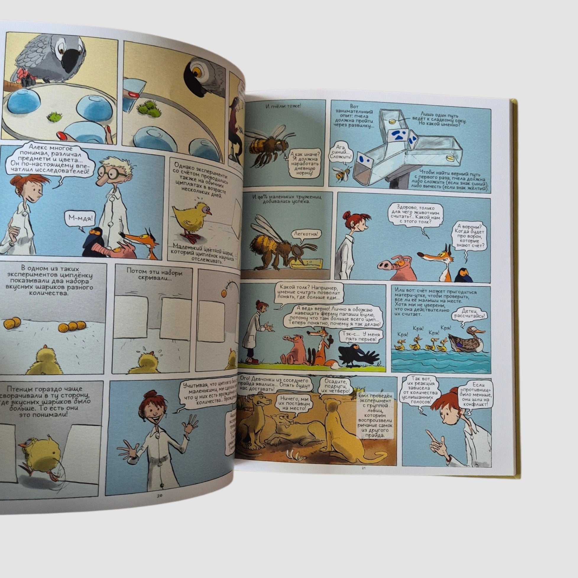 Самое умное животное на Земле