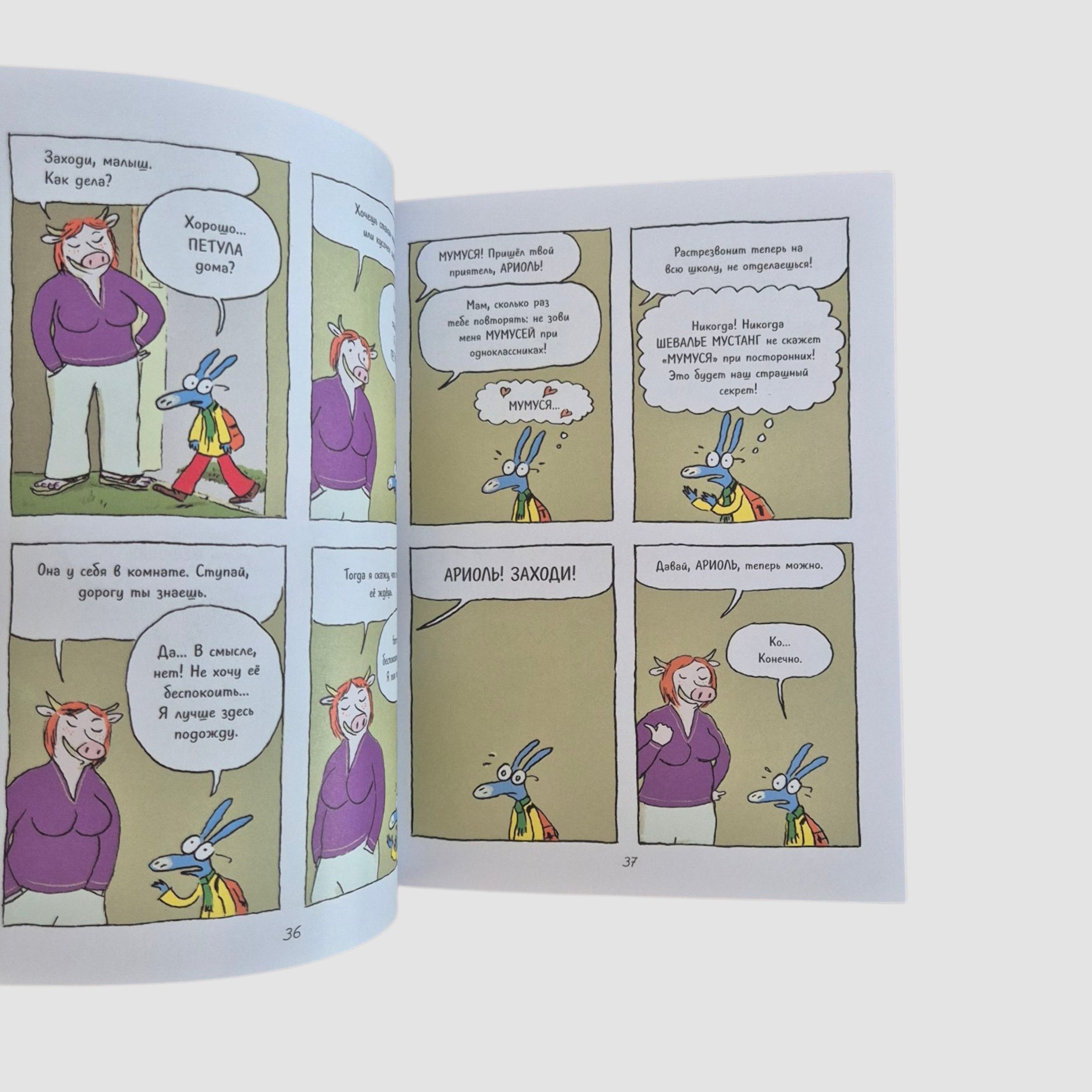 Ariol. A Little Donkey Like You and Me (Paperback)