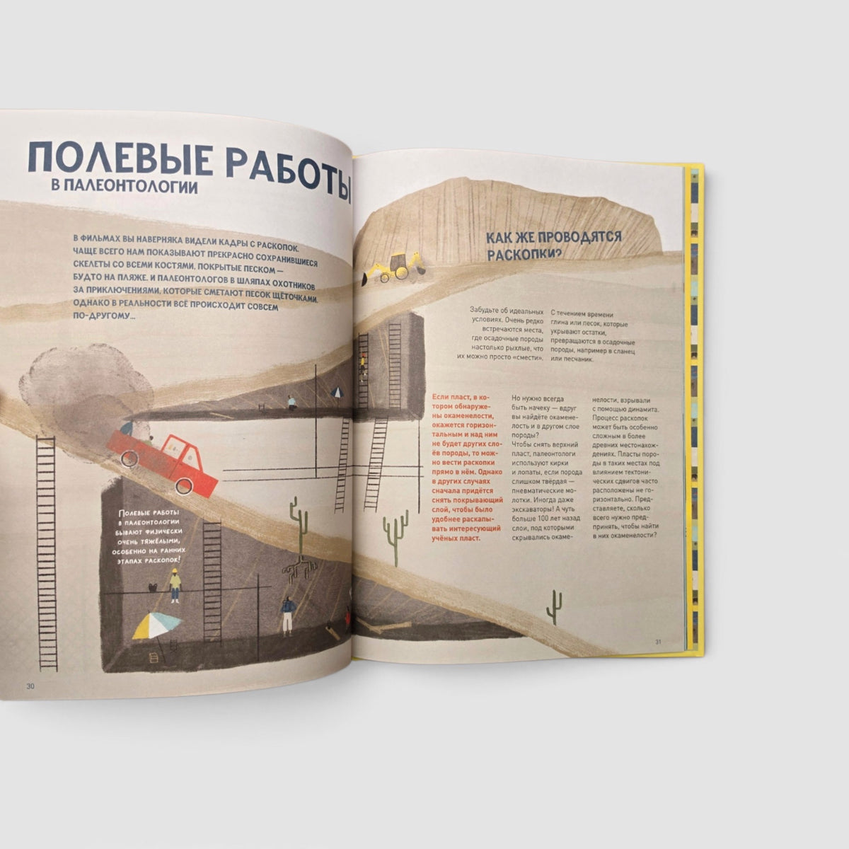 Мы нашли динозавра во дворе