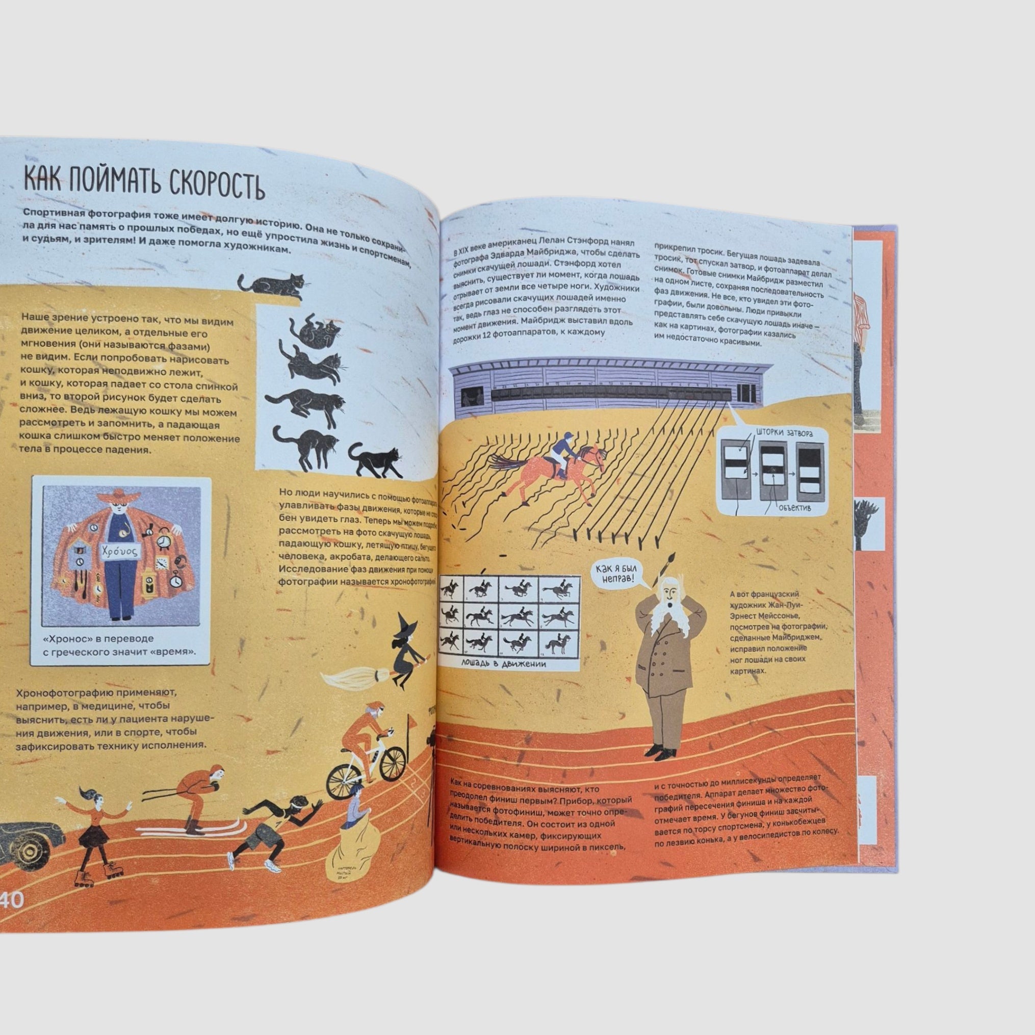 Фотография