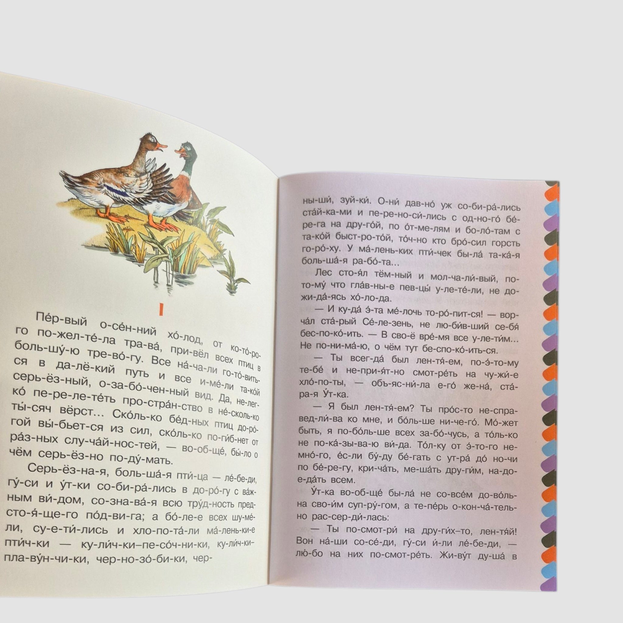 Gray Neck. I read it syllable by syllable.