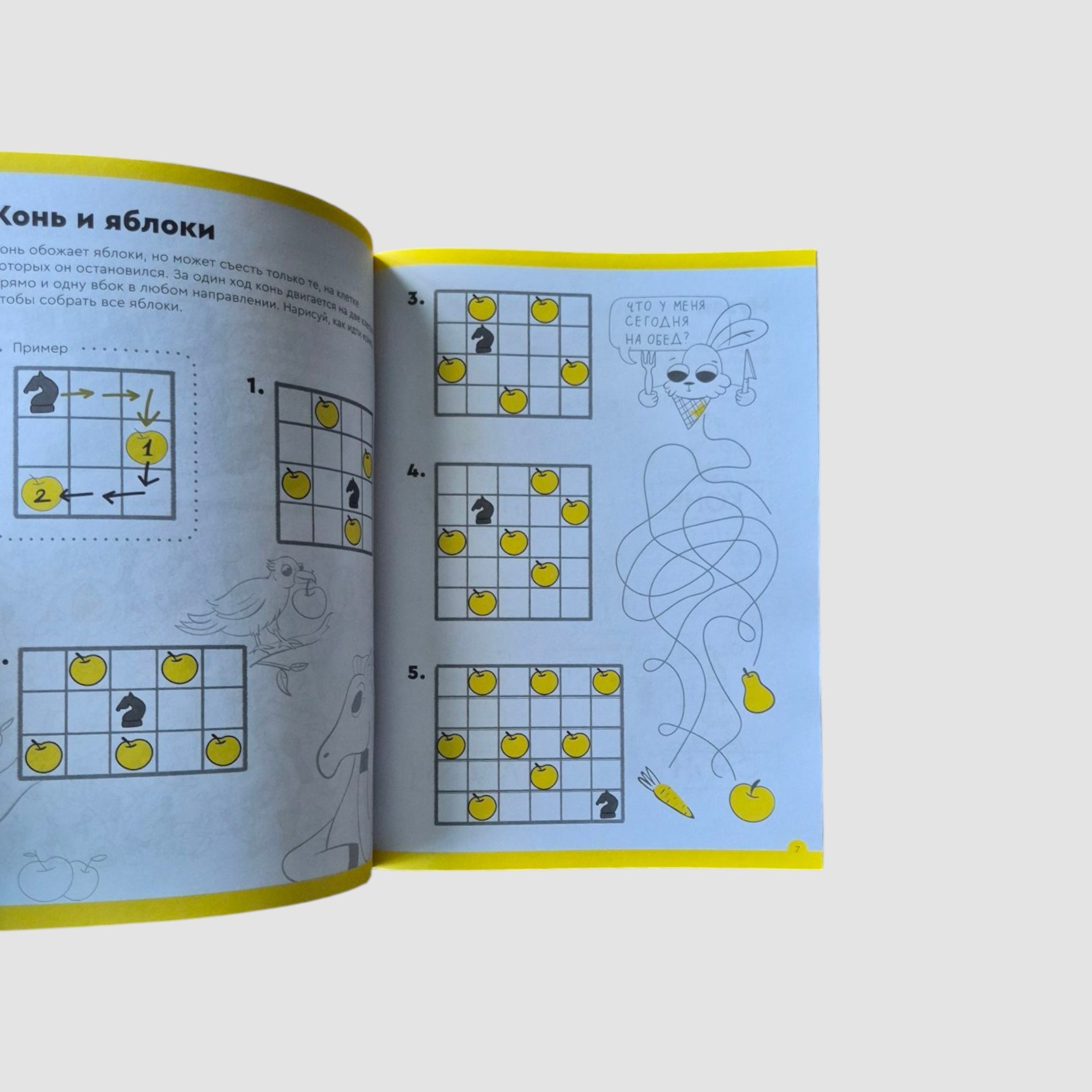 Chess Basics and Logic. Part 3. From 7 years old