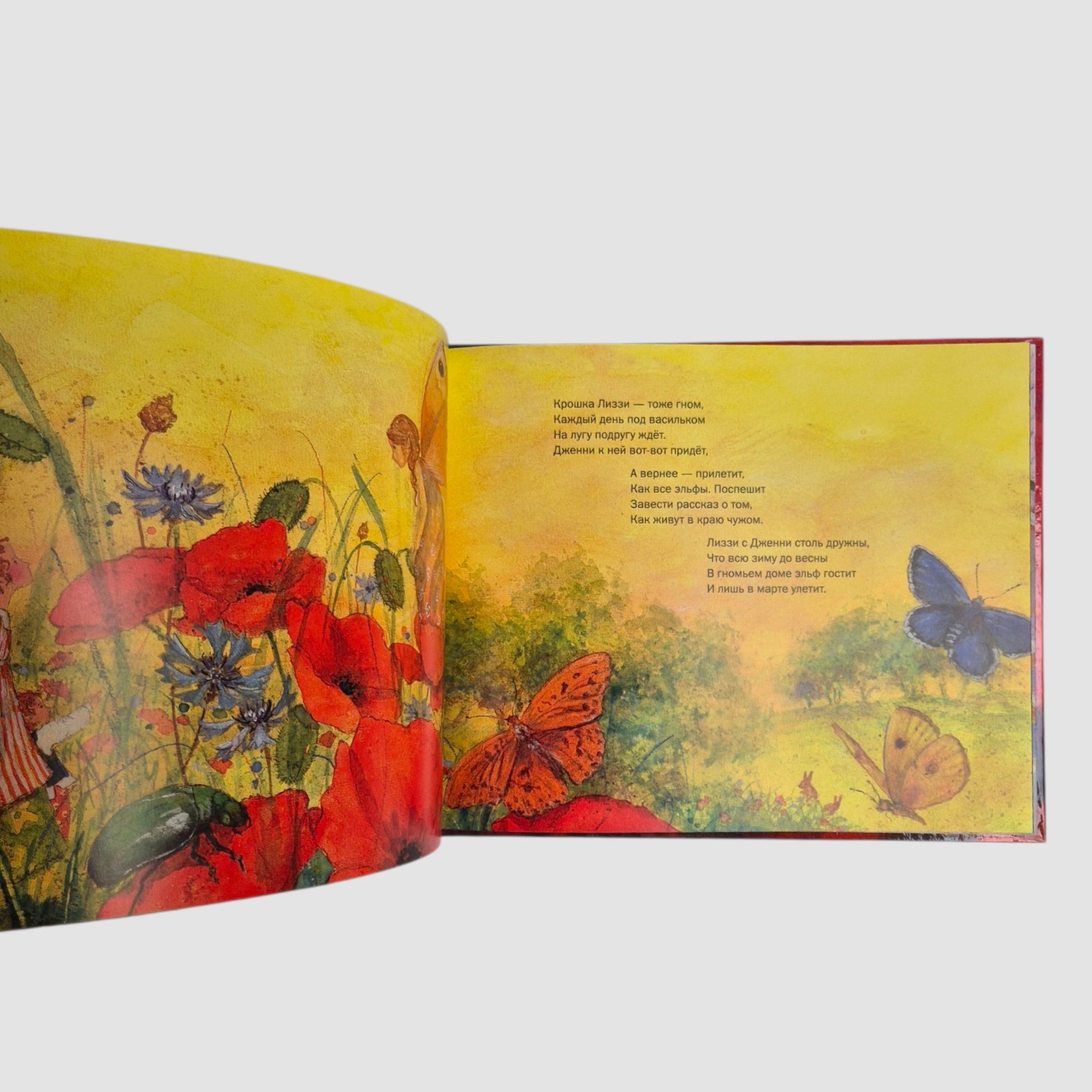 Идём в царство гномов