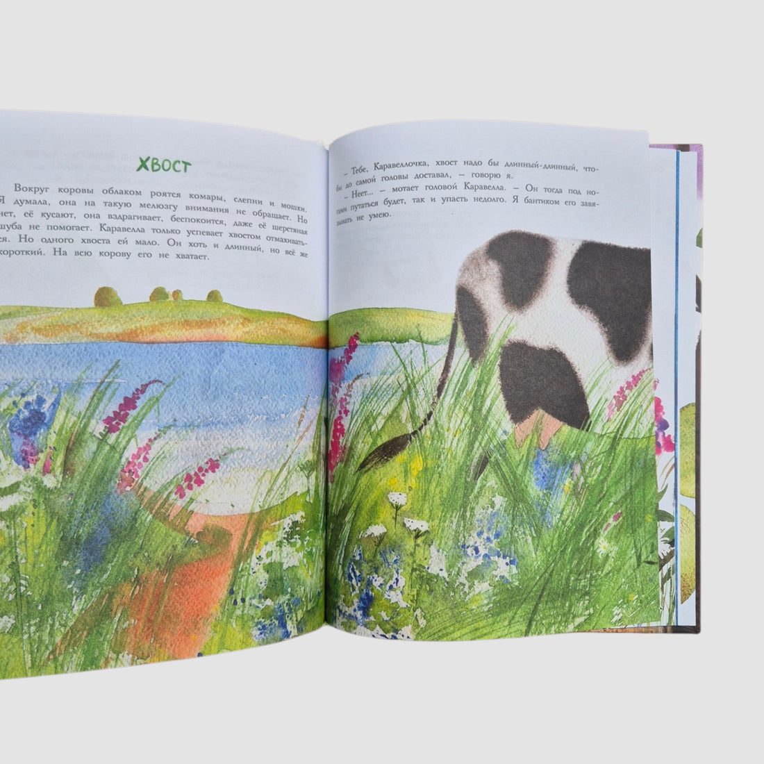 Каравелла и я