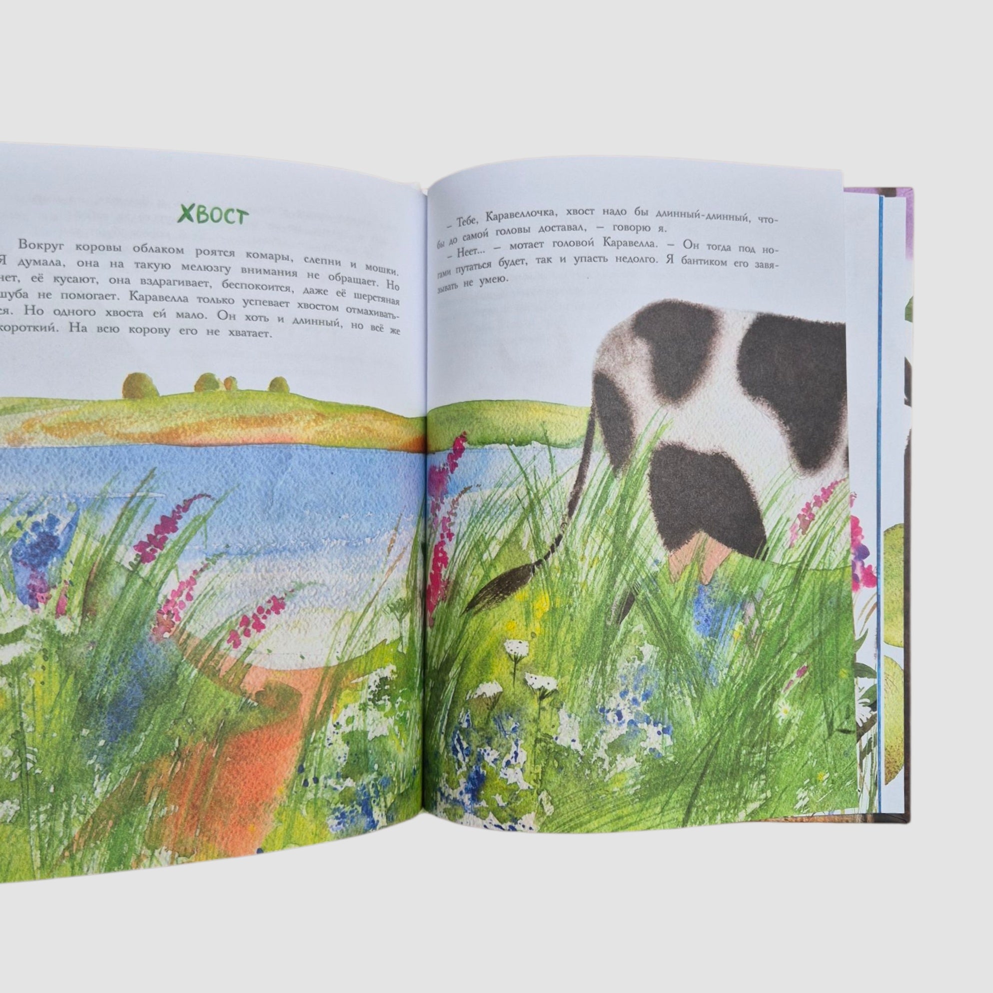 Каравелла и я