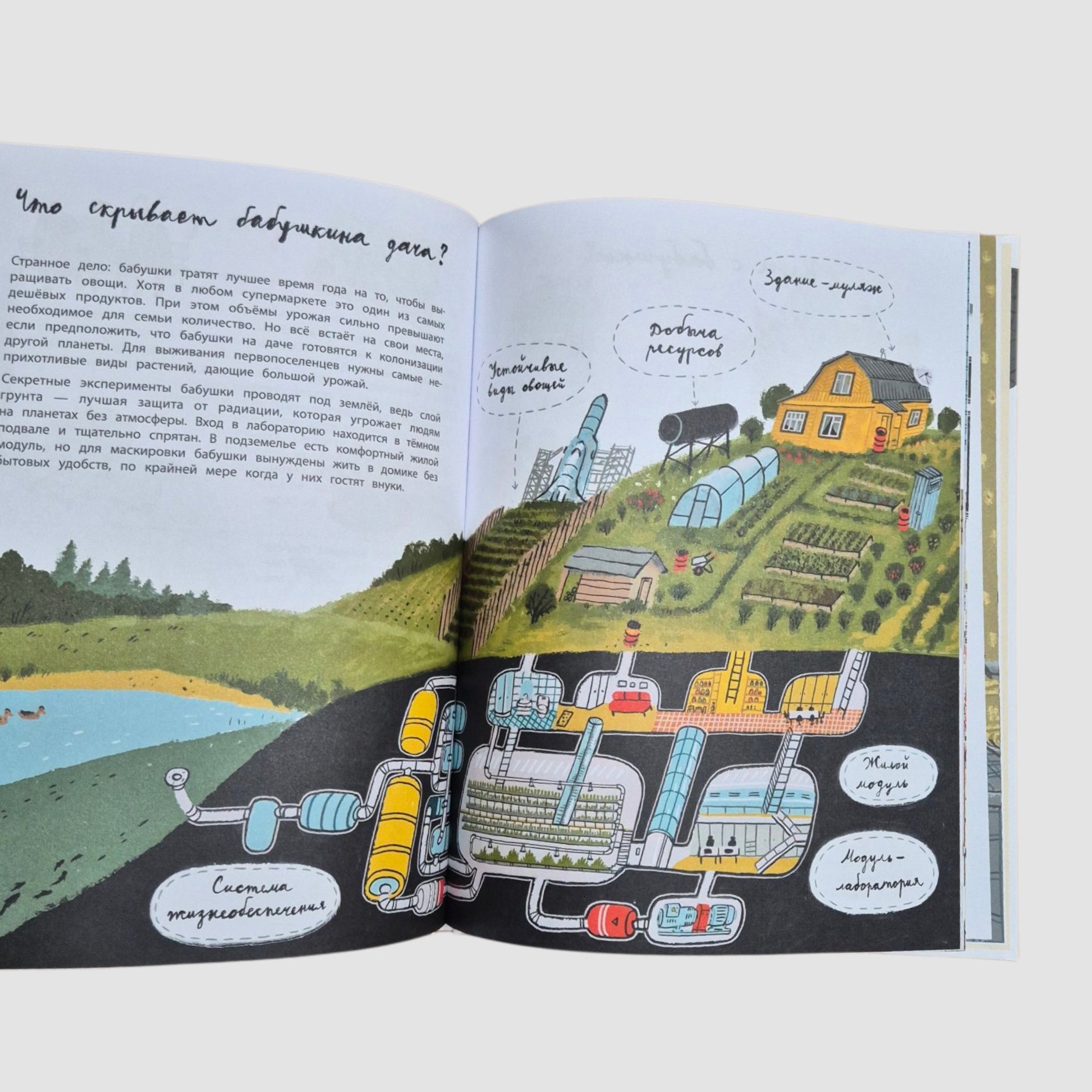 Что скрывают бабушки?