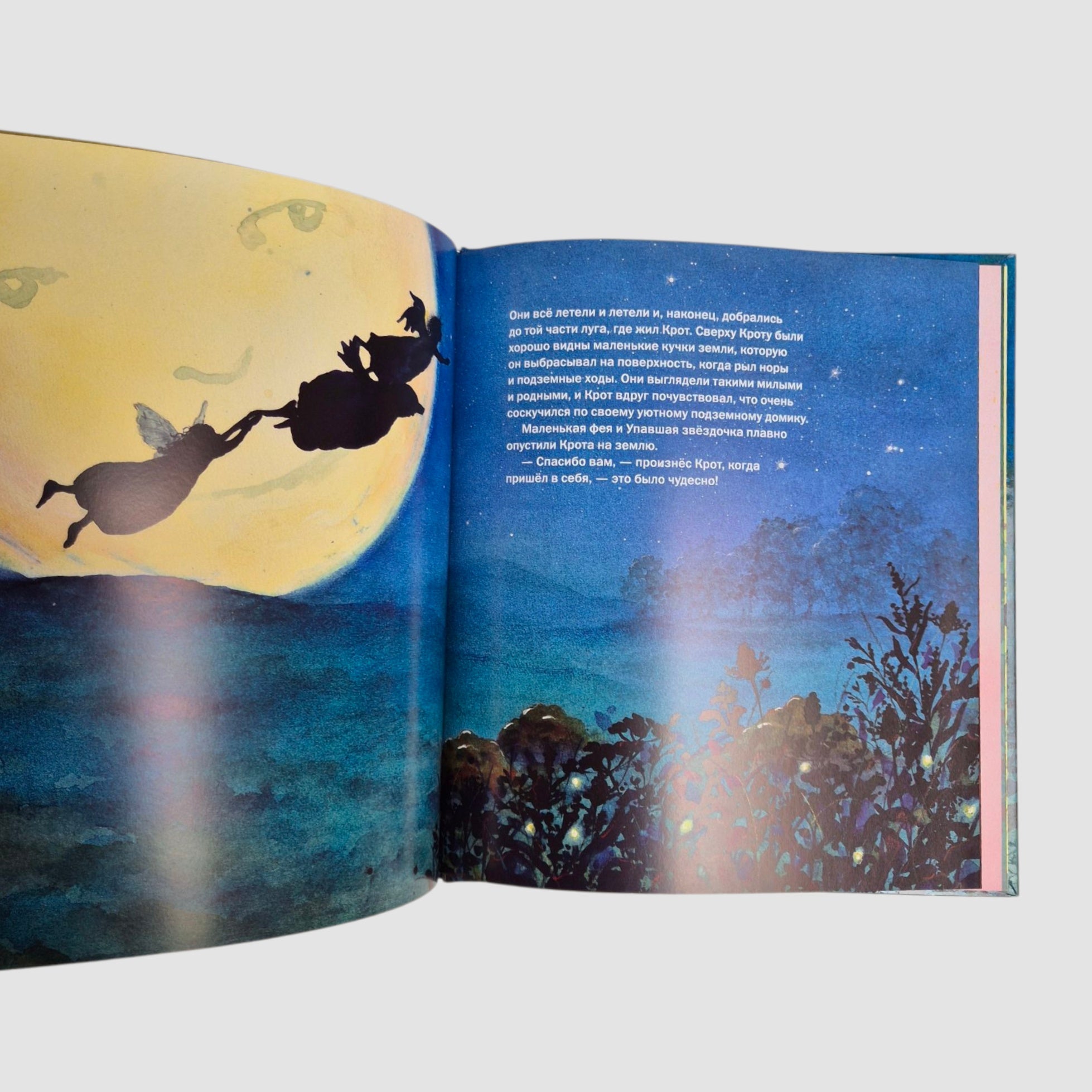 Маленькая фея загадывает желание