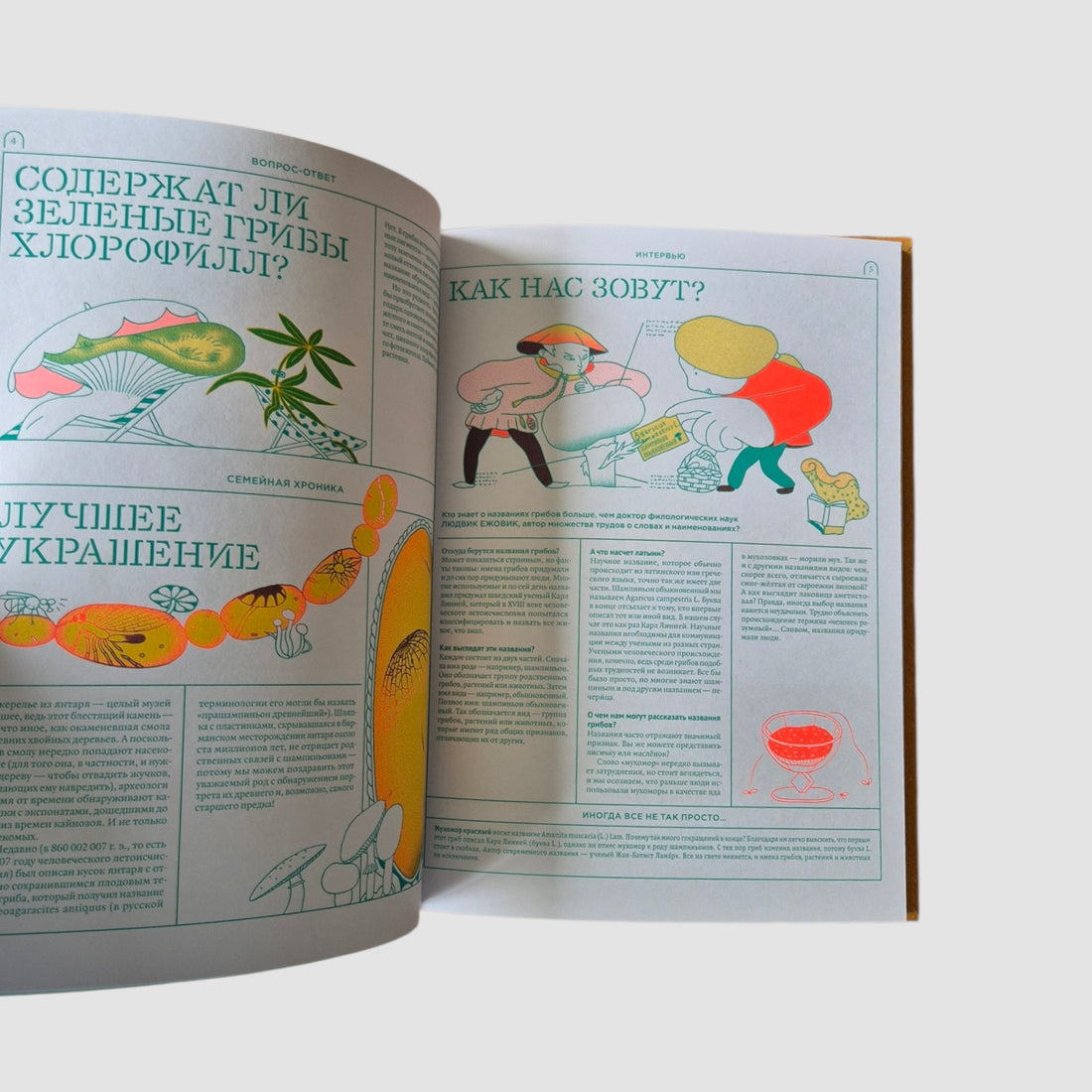 Мико. Полный путеводитель по миру грибов