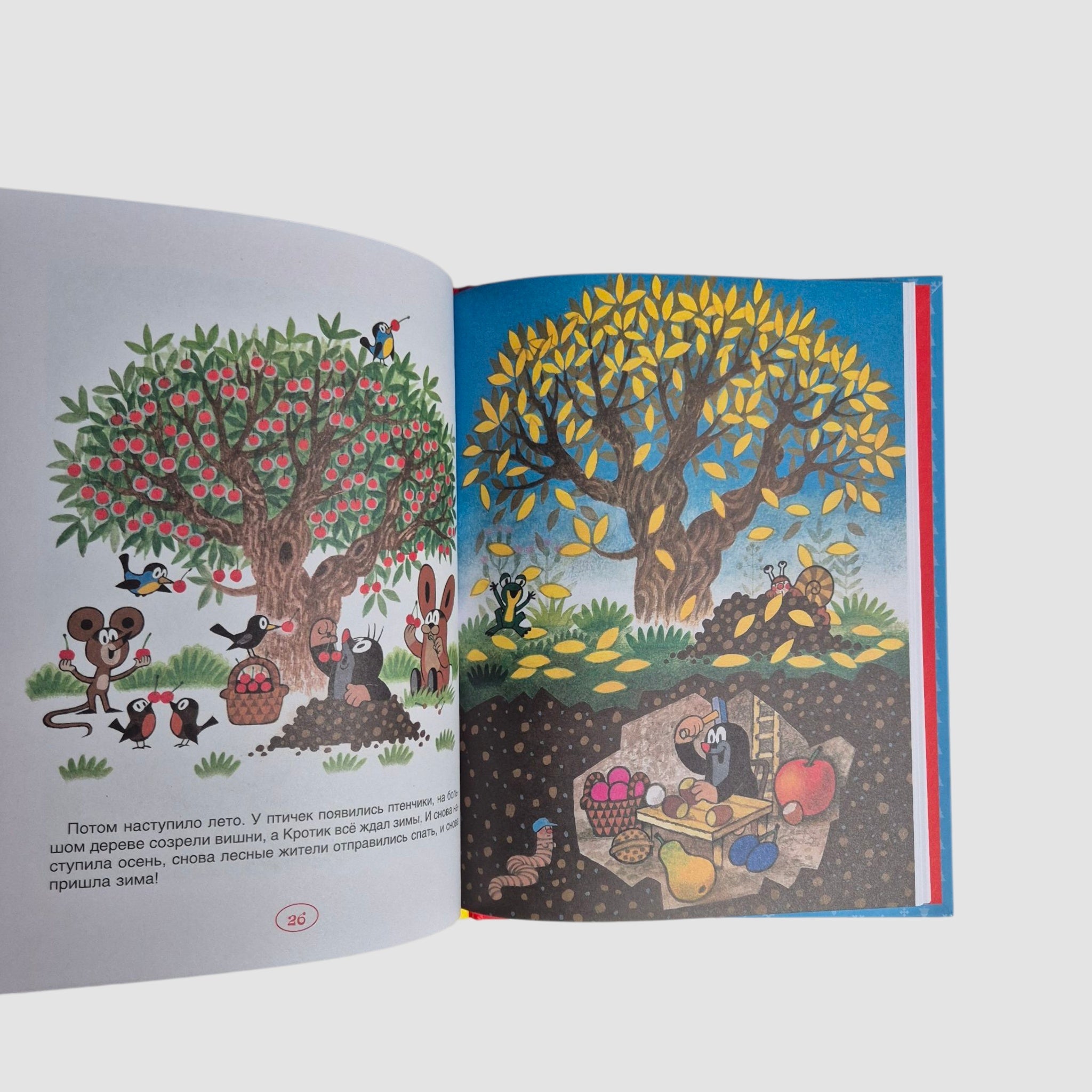 Кротик. Зимние истории