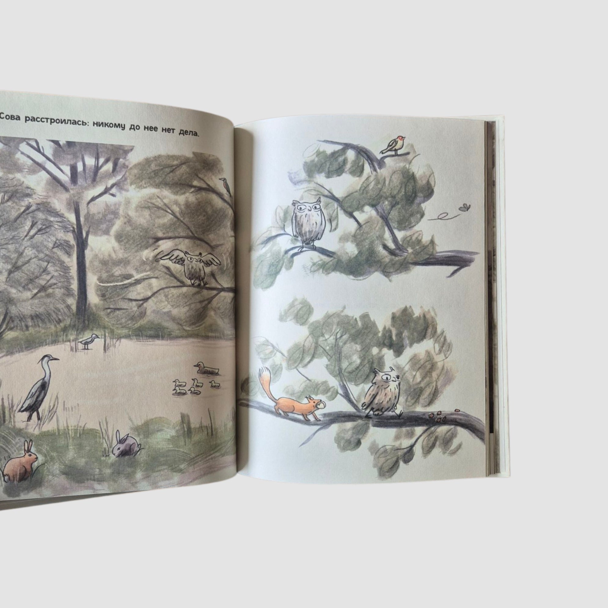 Удивленная сова