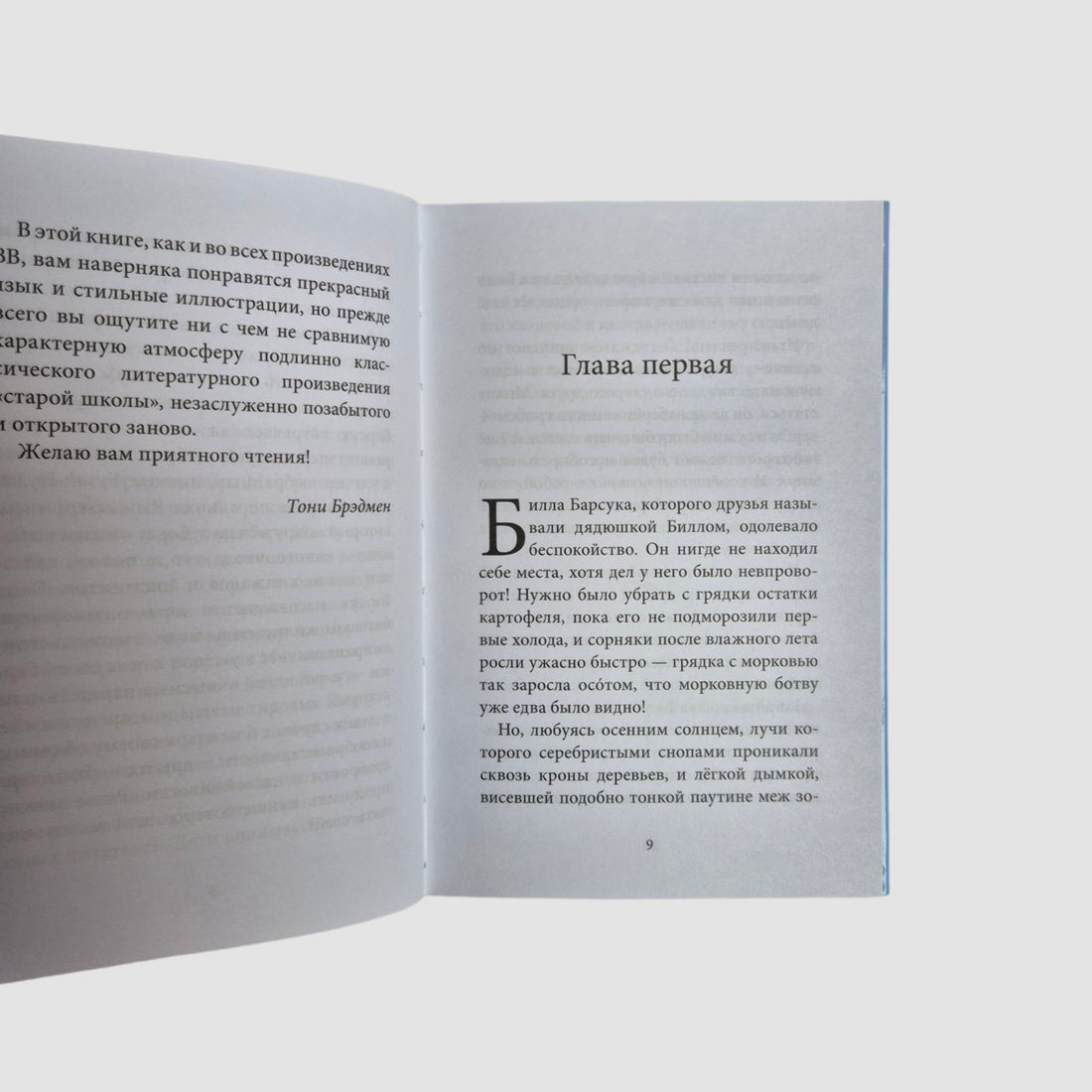 Билл Барсук и "Вольный ветер" (внешний дефект)