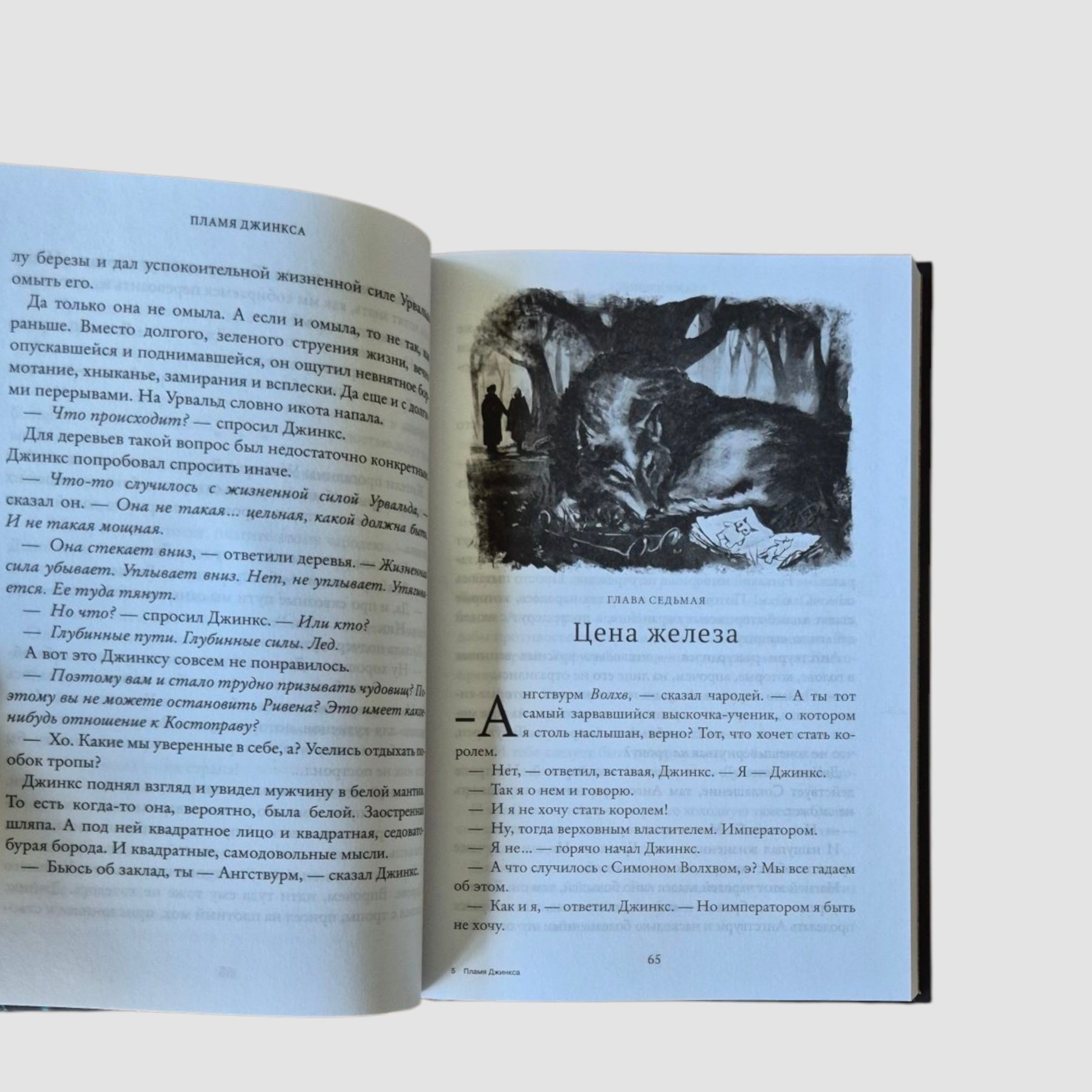 Пламя Джинкса. Книга 3