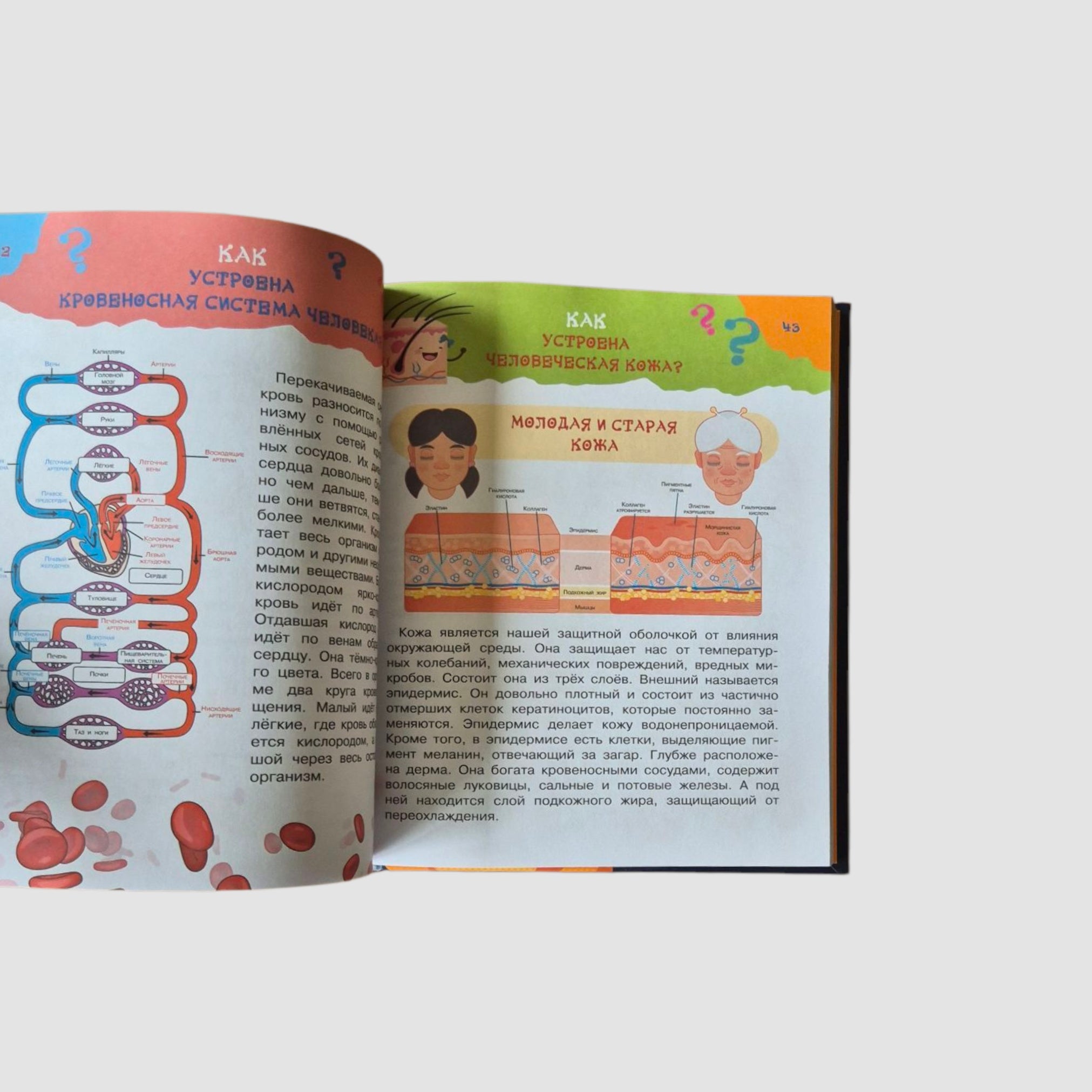 Большая книга почему