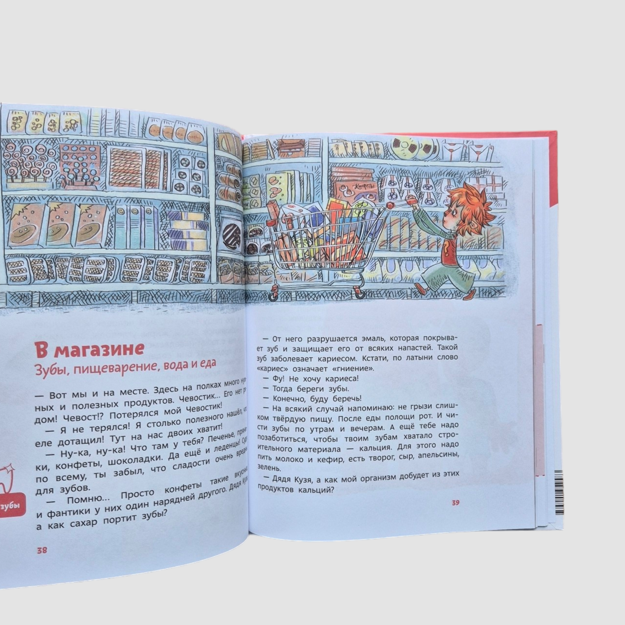 How a person is made. Children's encyclopedia (Chevostik)