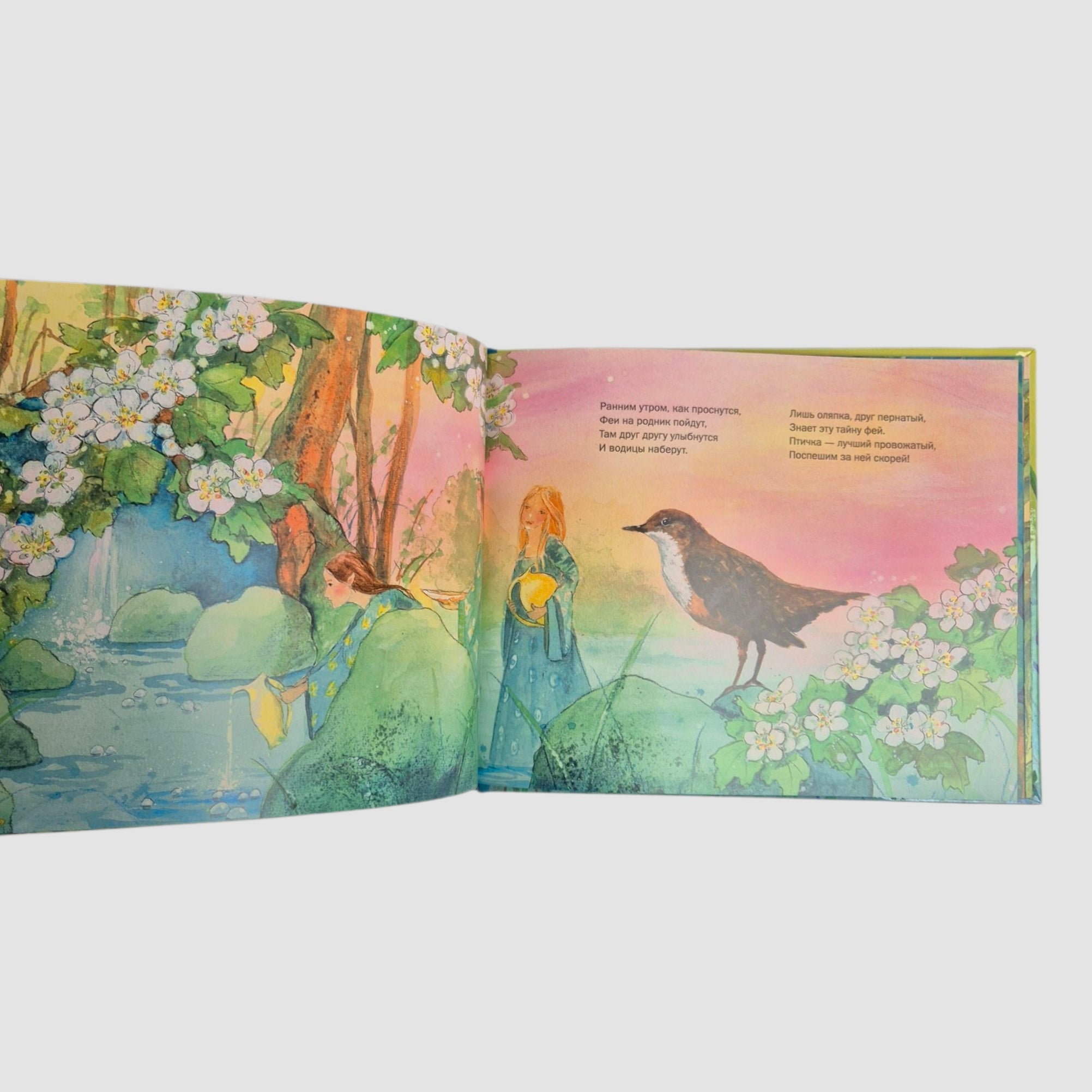 Let's dive into the world of mermaids