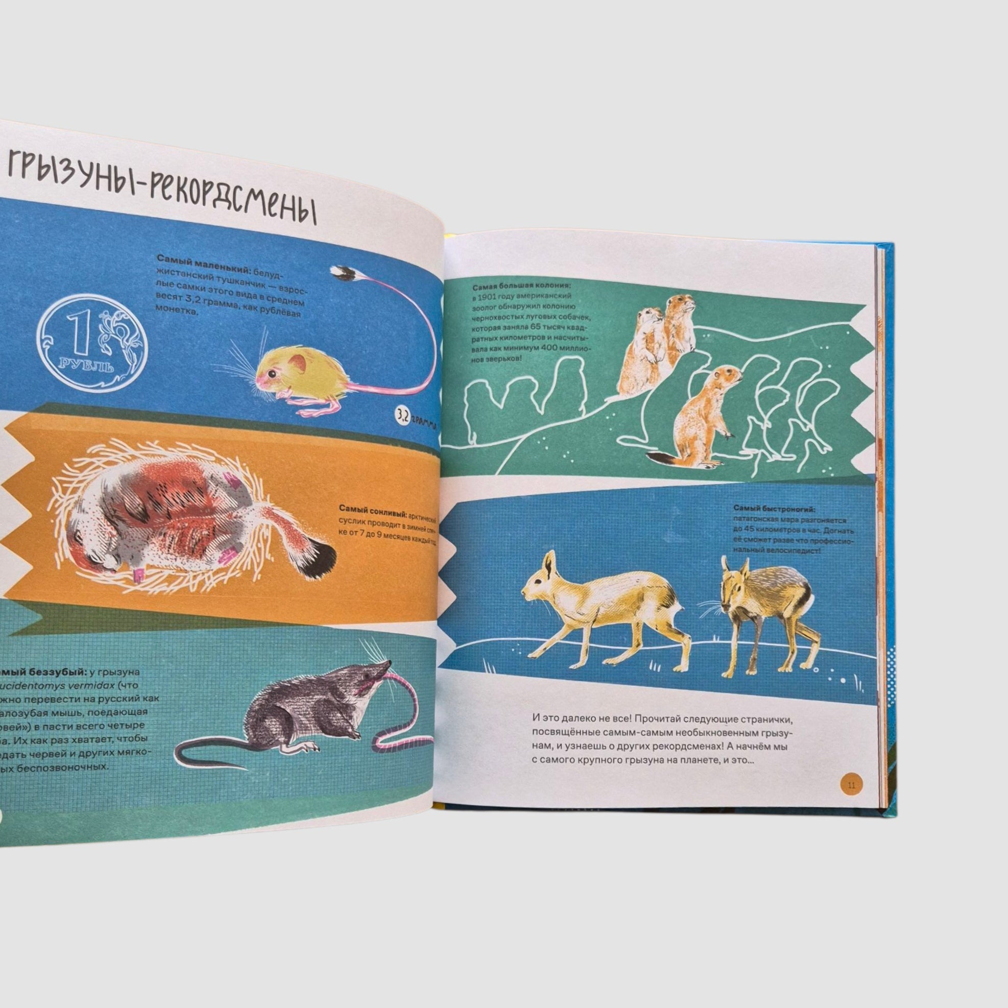 Вот так капибара! Необыкновенные грызуны и их родственники