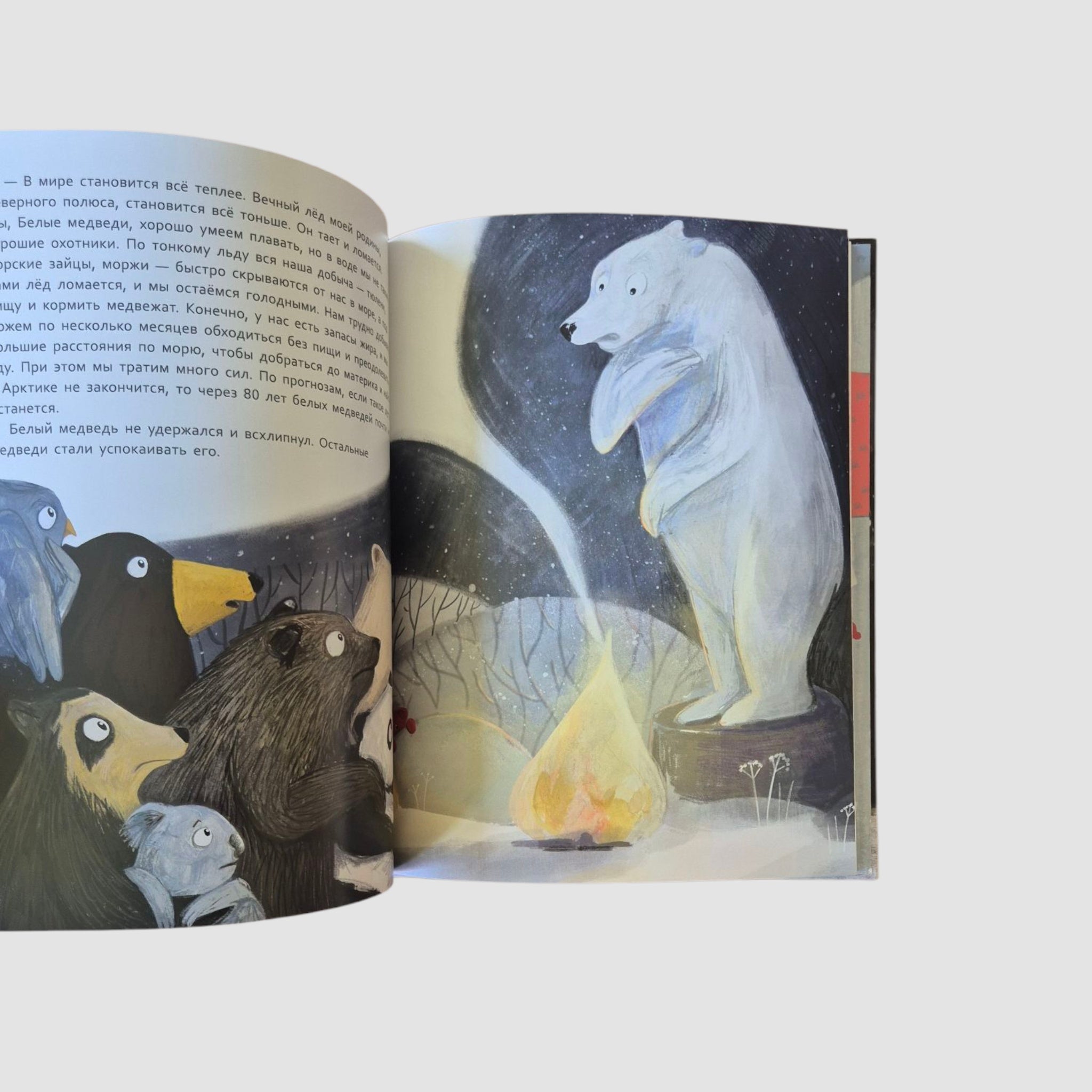 Тайная миссия плюшевого Мишки