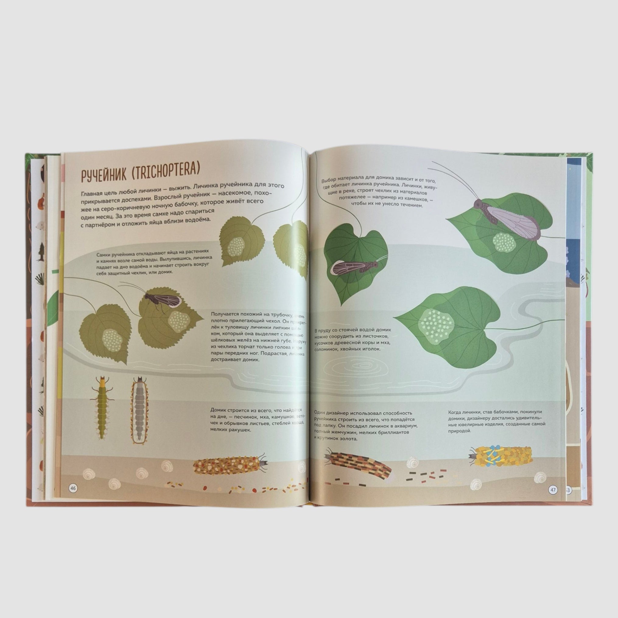 Что внутри? Как устроены дома животных