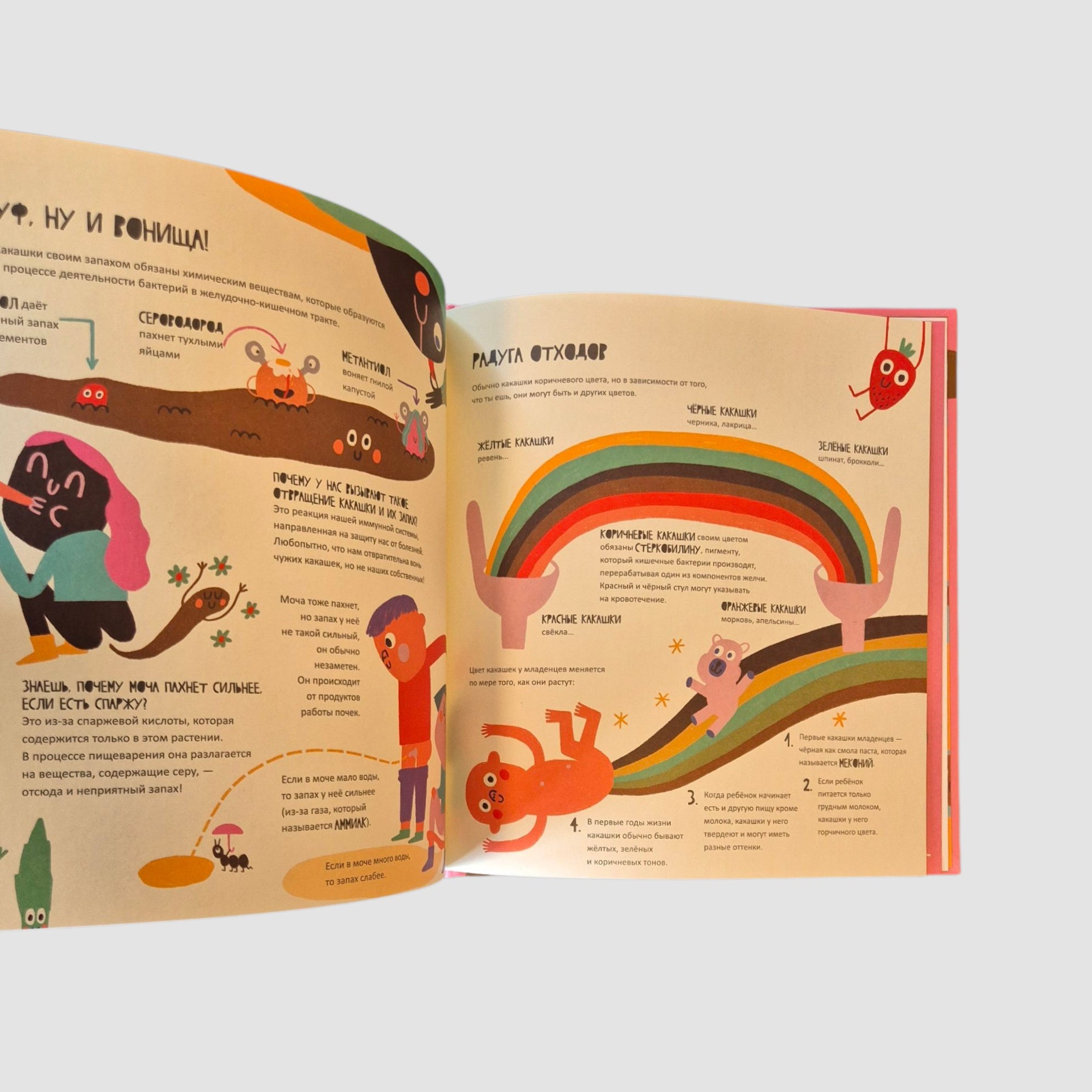 Тайная жизнь мочи и какашек