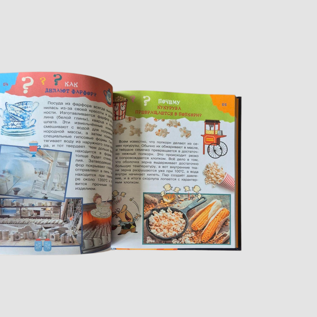 Большая книга почему